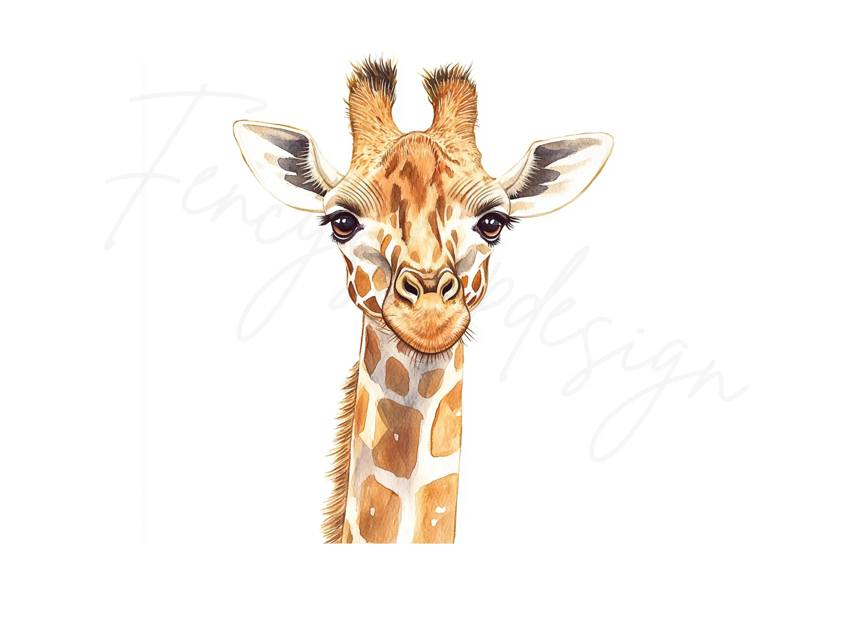 Cute Giraffe Face Clipart Bundle