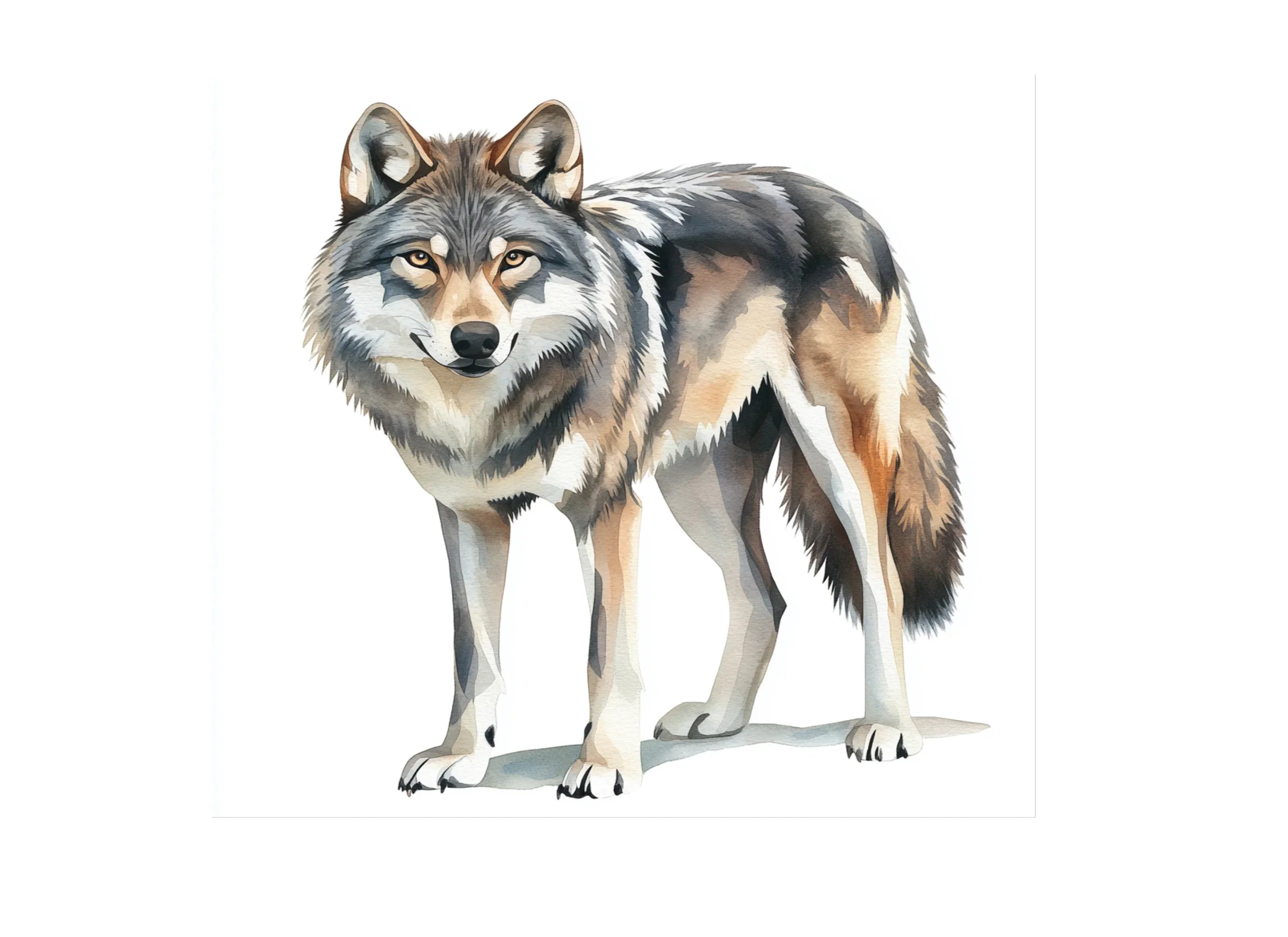 Geometric Wolf Clipart Bundle