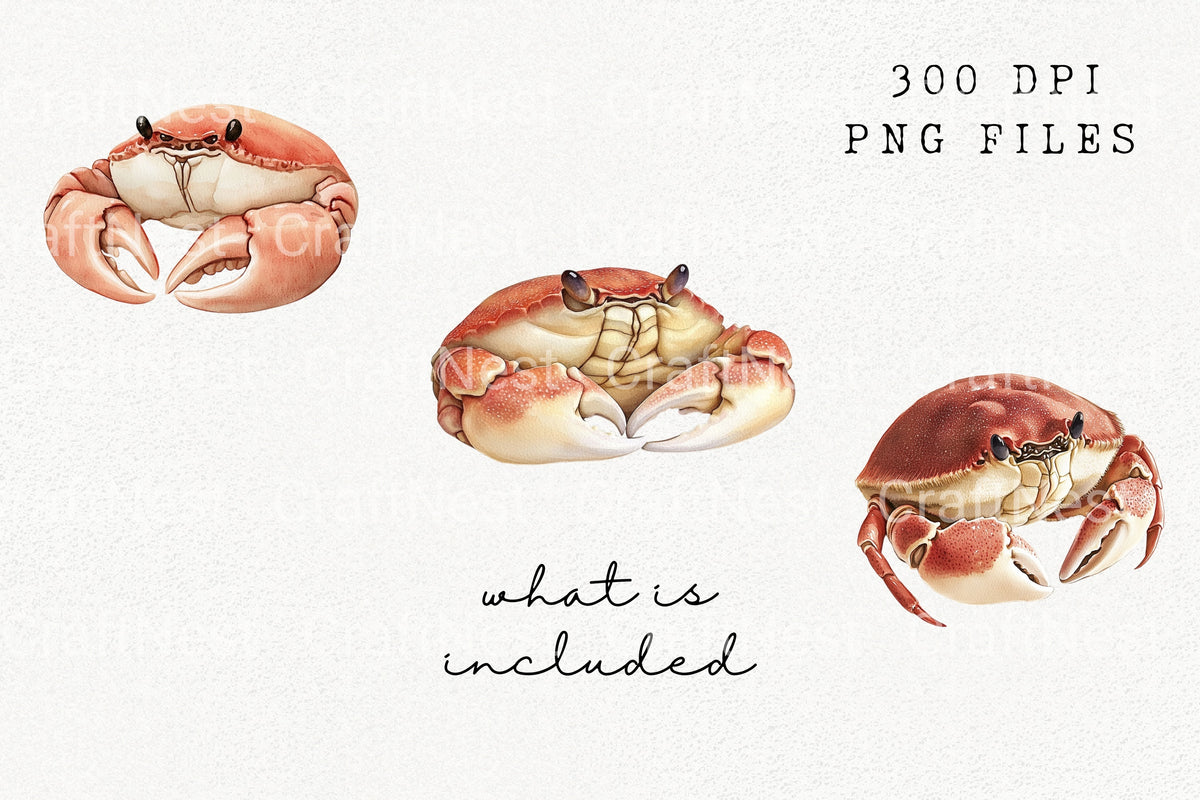 Cute Red Crab Sea Animal Designs Clipart Bundle