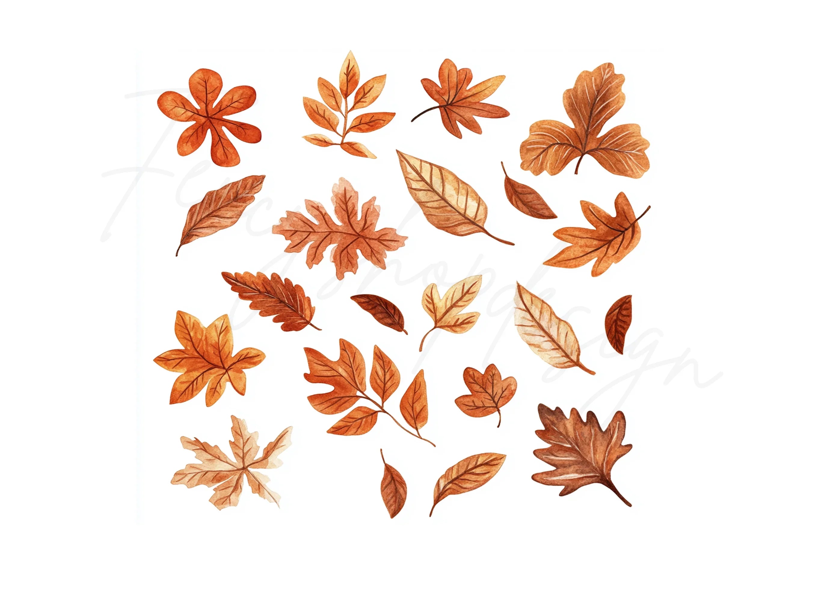 Autumn Leaves Clipart Bundle