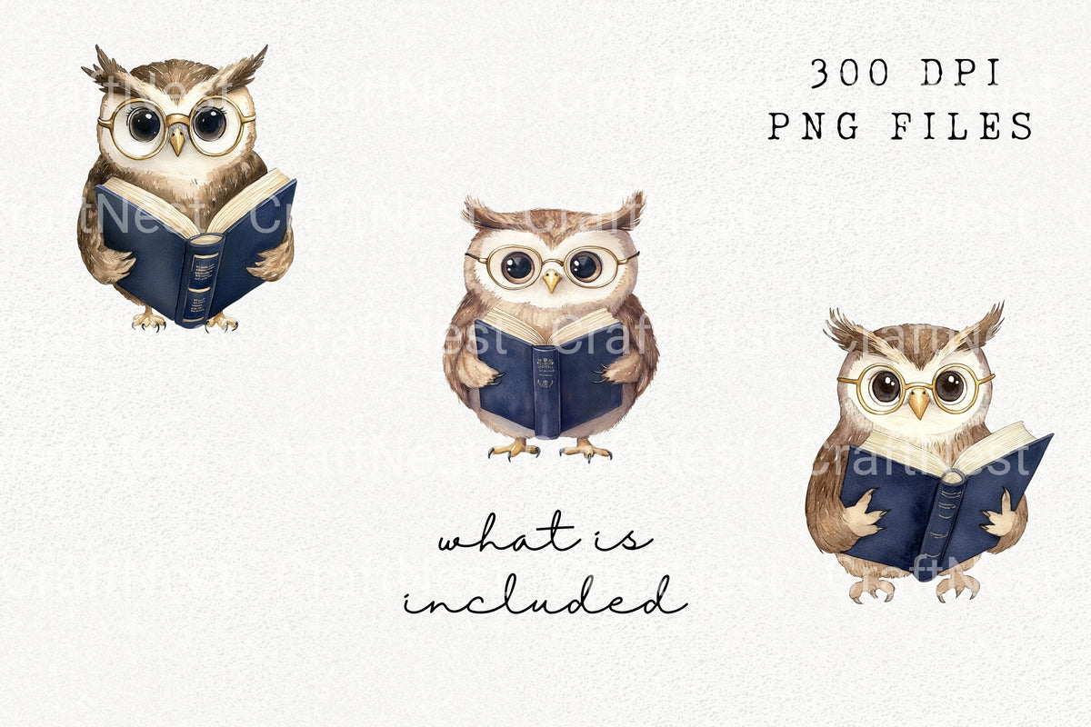 Adorable Owl Reading Clipart Bundle