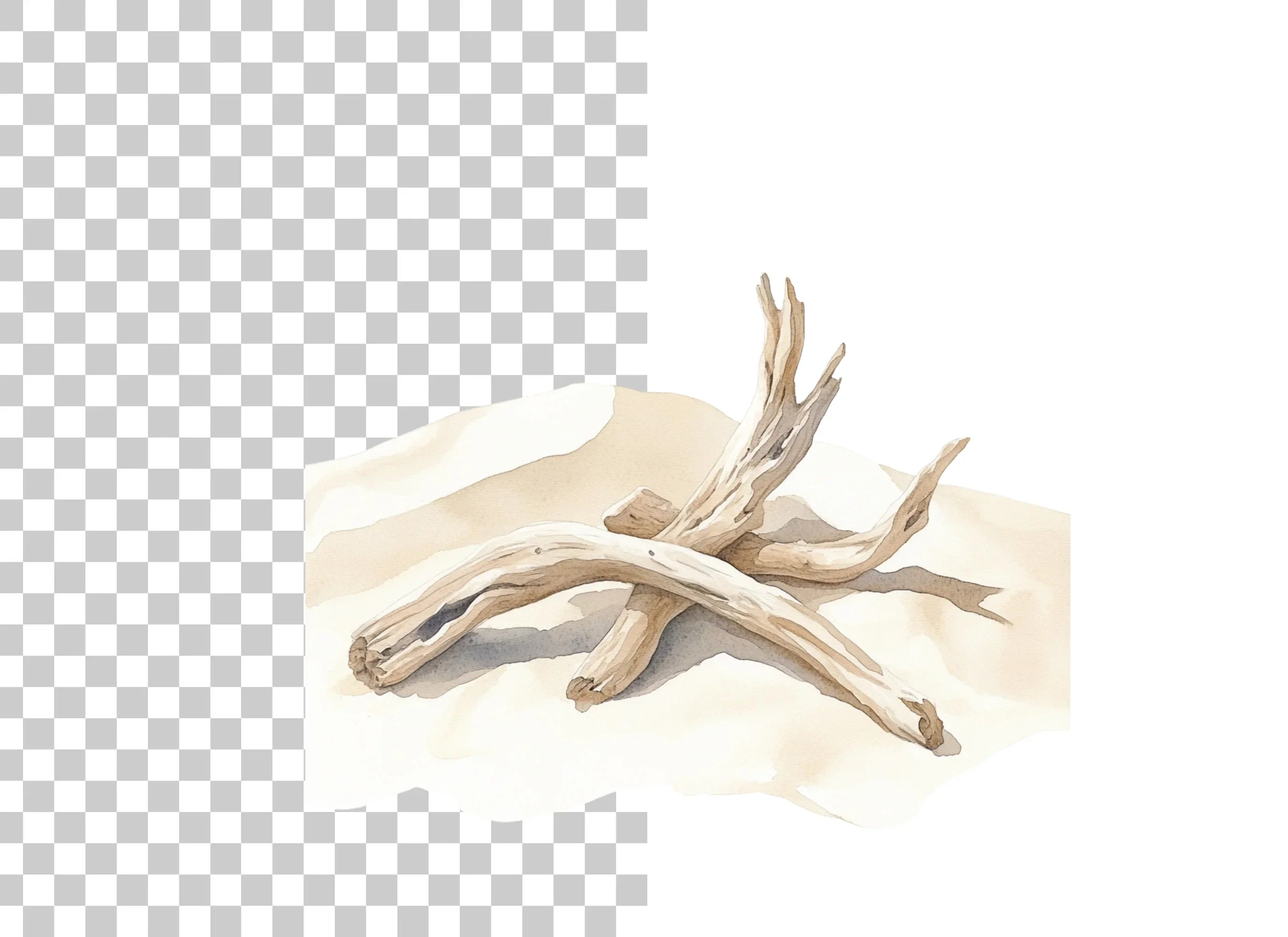 Driftwood on Sandy Beach Clipart Bundle