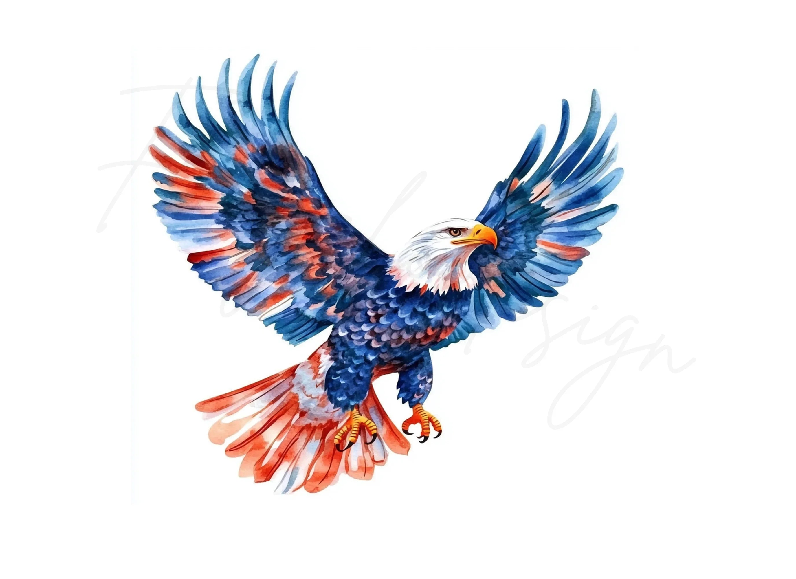 Bald Eagles Clipart Bundle