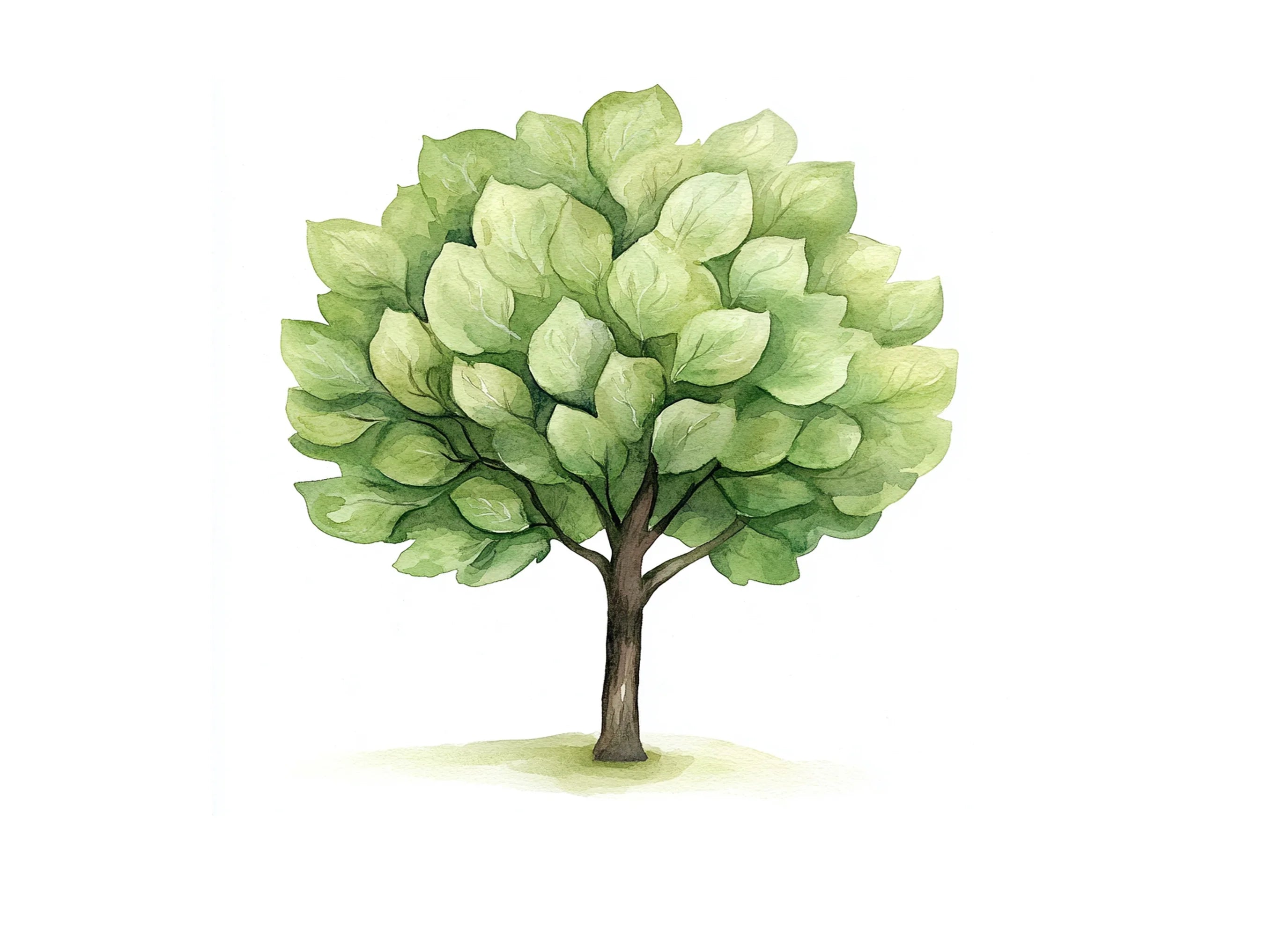 Lush Green Foliage Tree Clipart Bundle