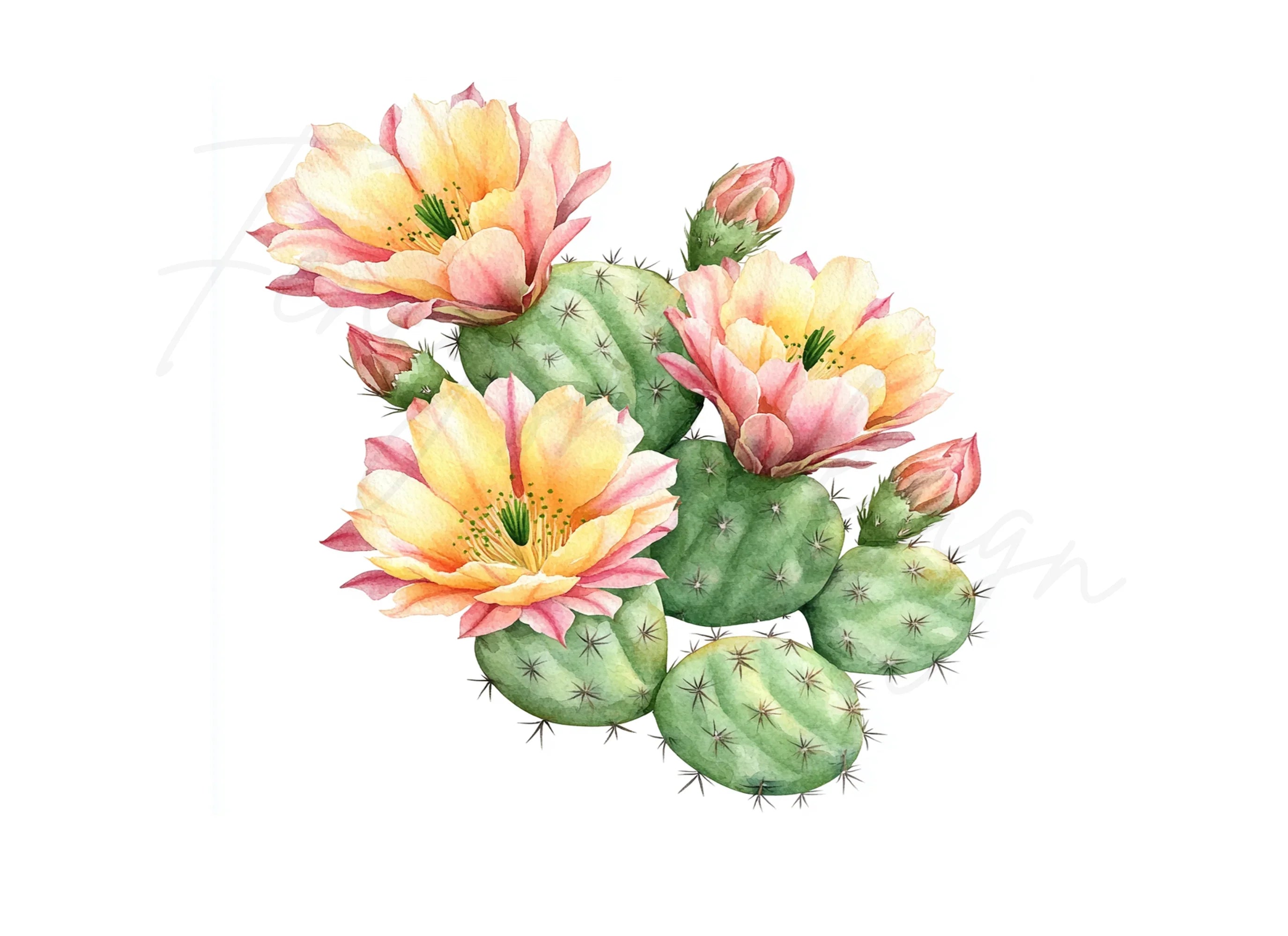 Prickly Pear Cactus Clipart Bundle