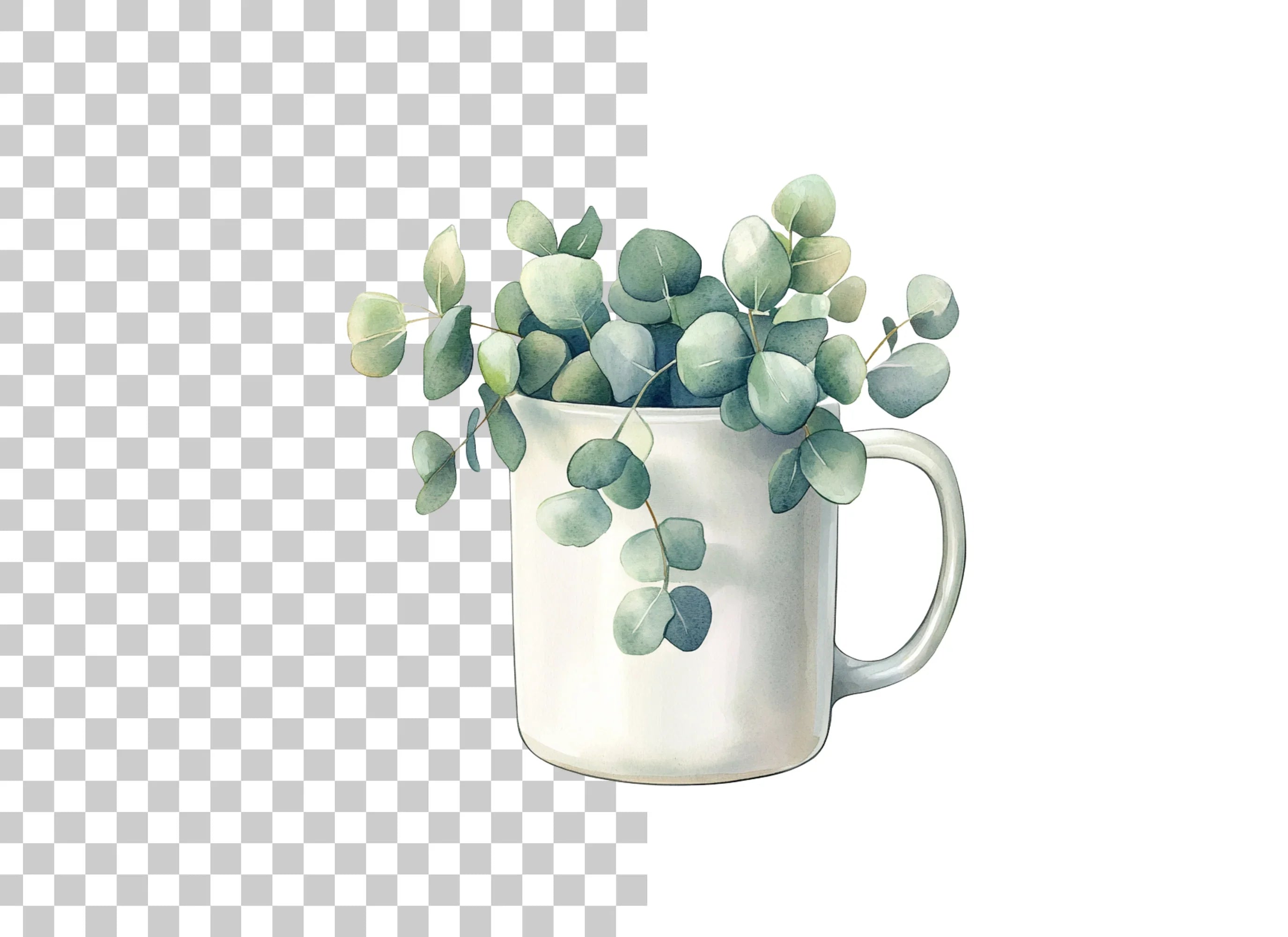 Eucalyptus in Mugs Clipart Bundle