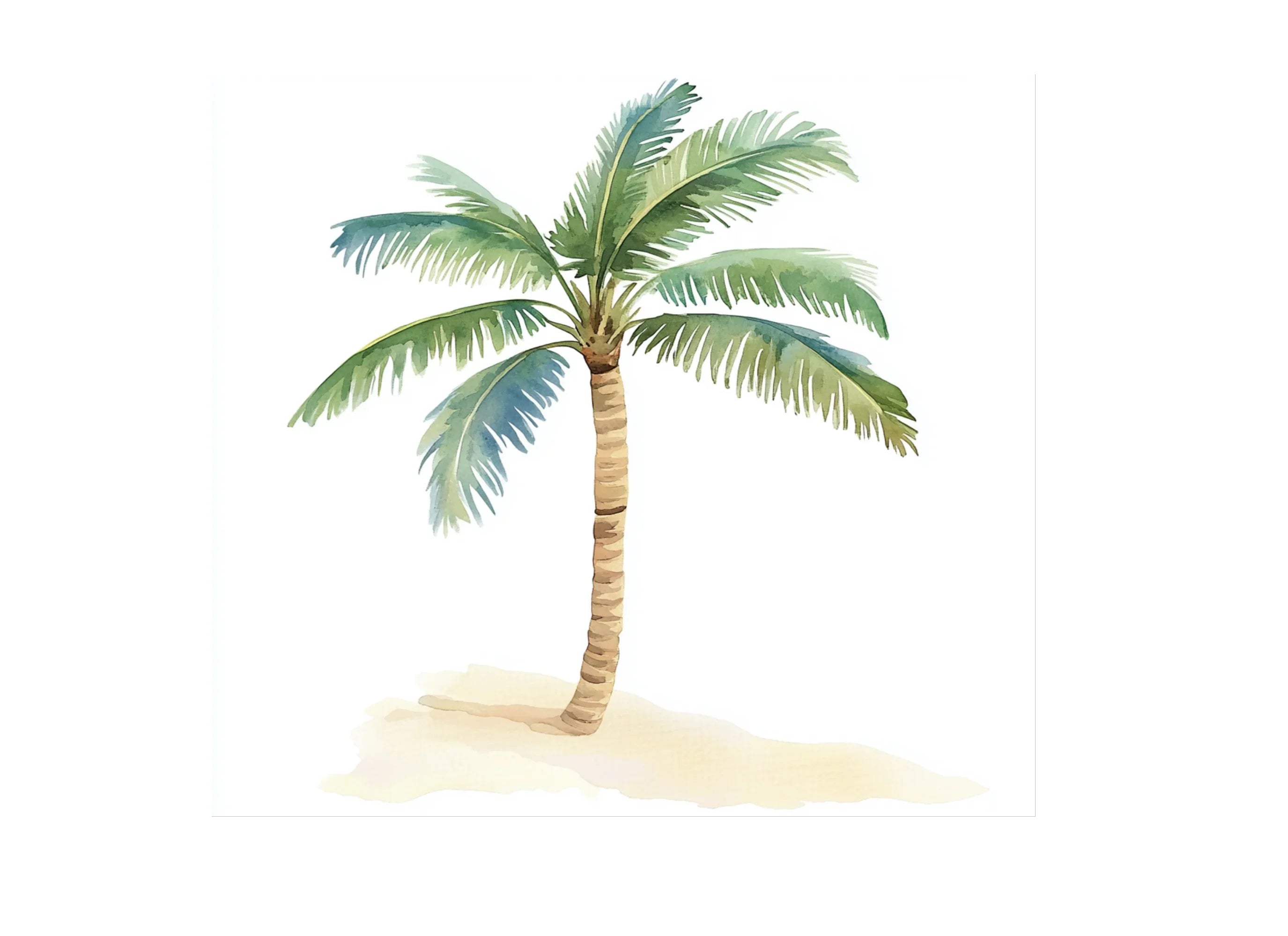 Tropical Palm Trees Clipart Bundle