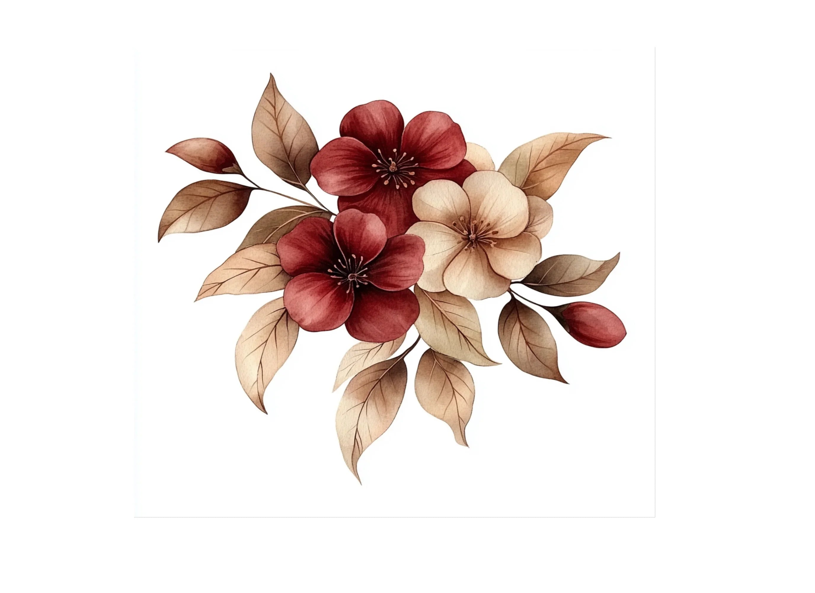 Floral Clipart Bundle