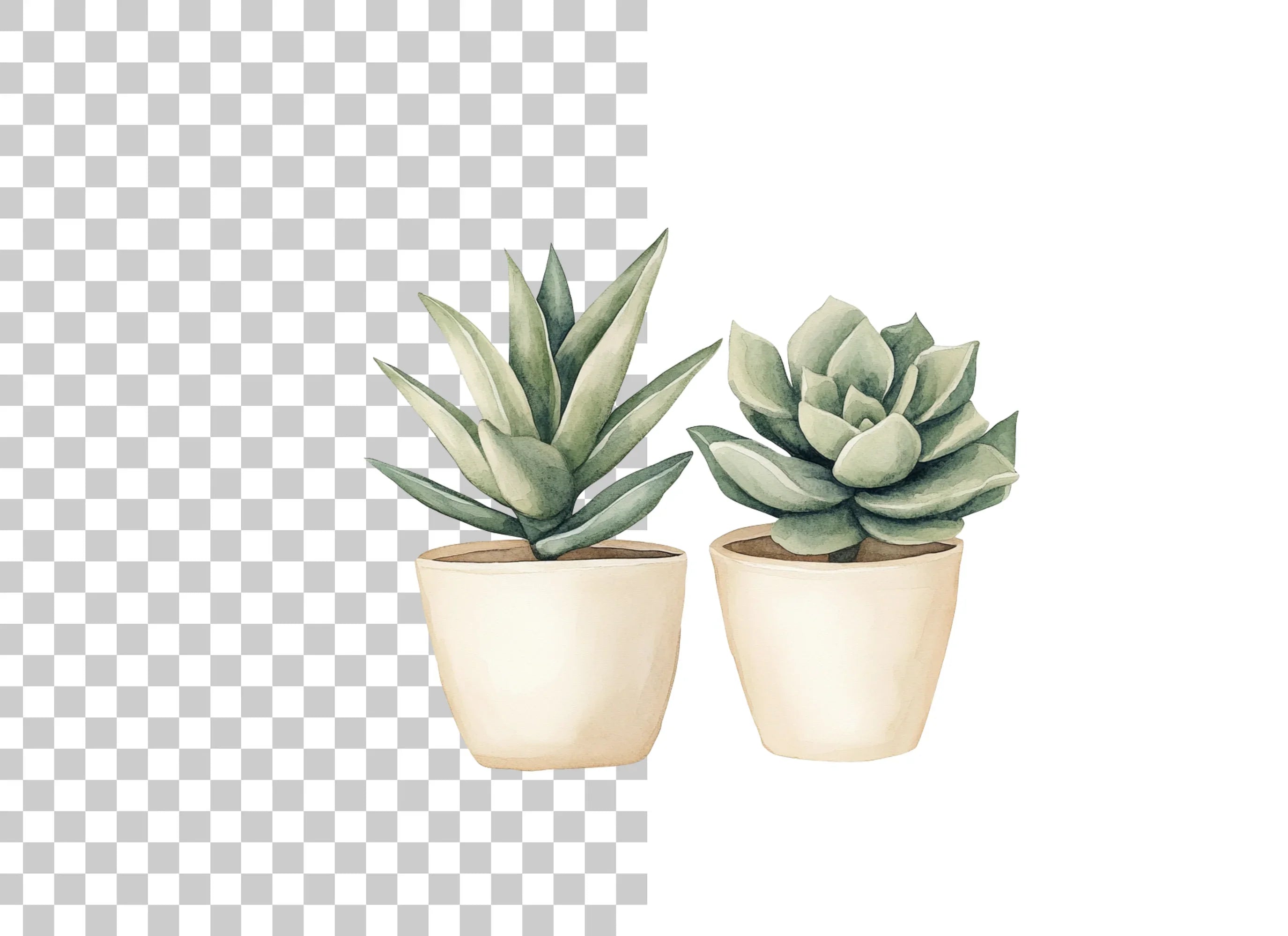Succulent Plants Clipart Bundle
