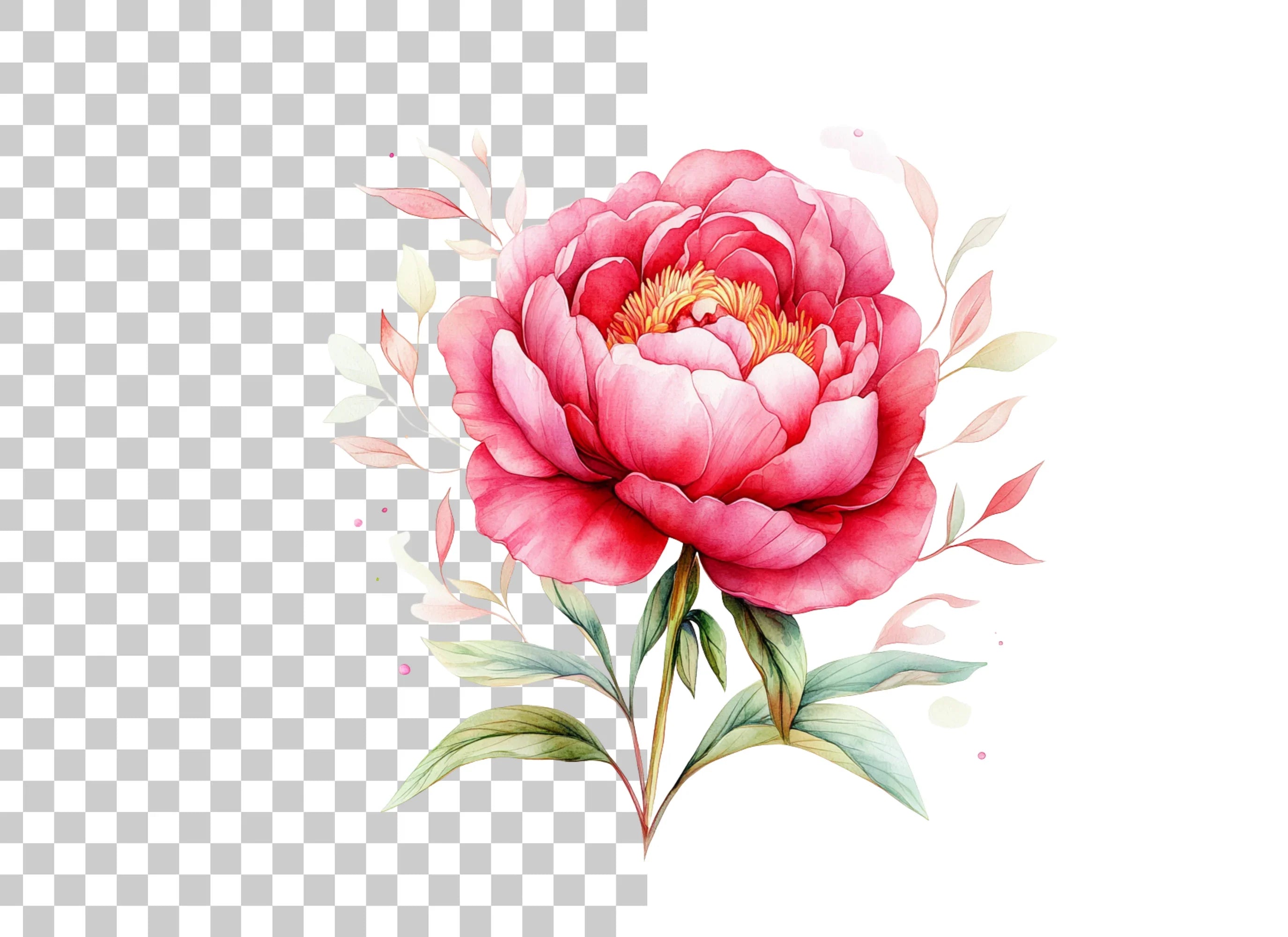 Vibrant Pink Peony Flower Clipart Bundle