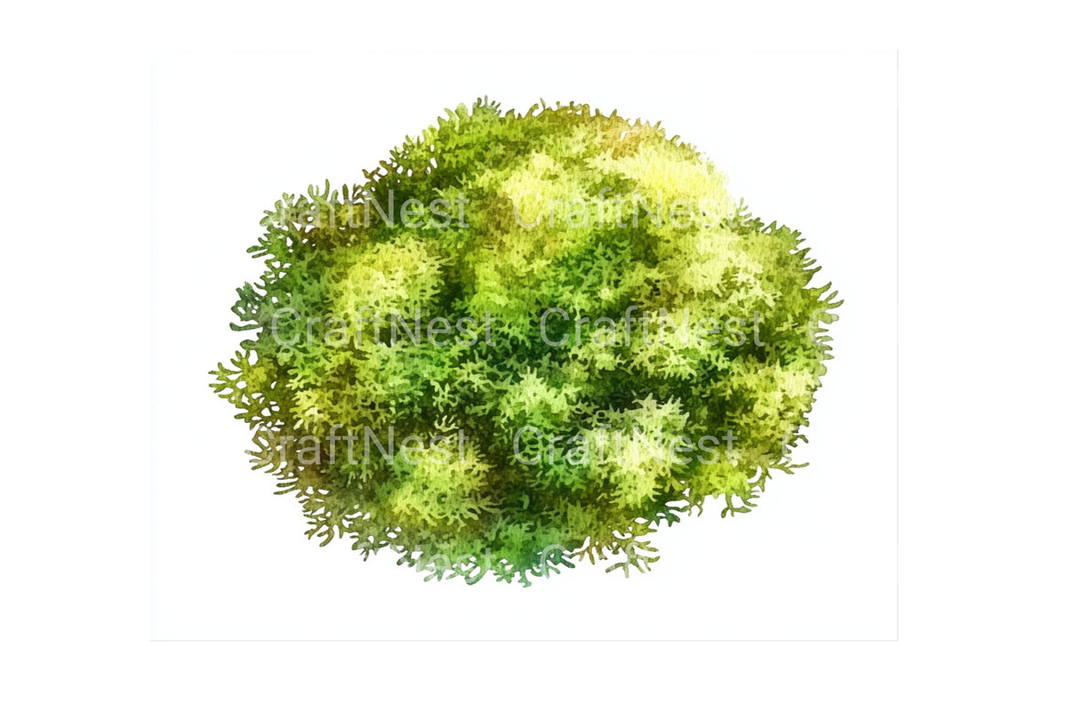 Lush Green Mossy Ground Clipart Bundle