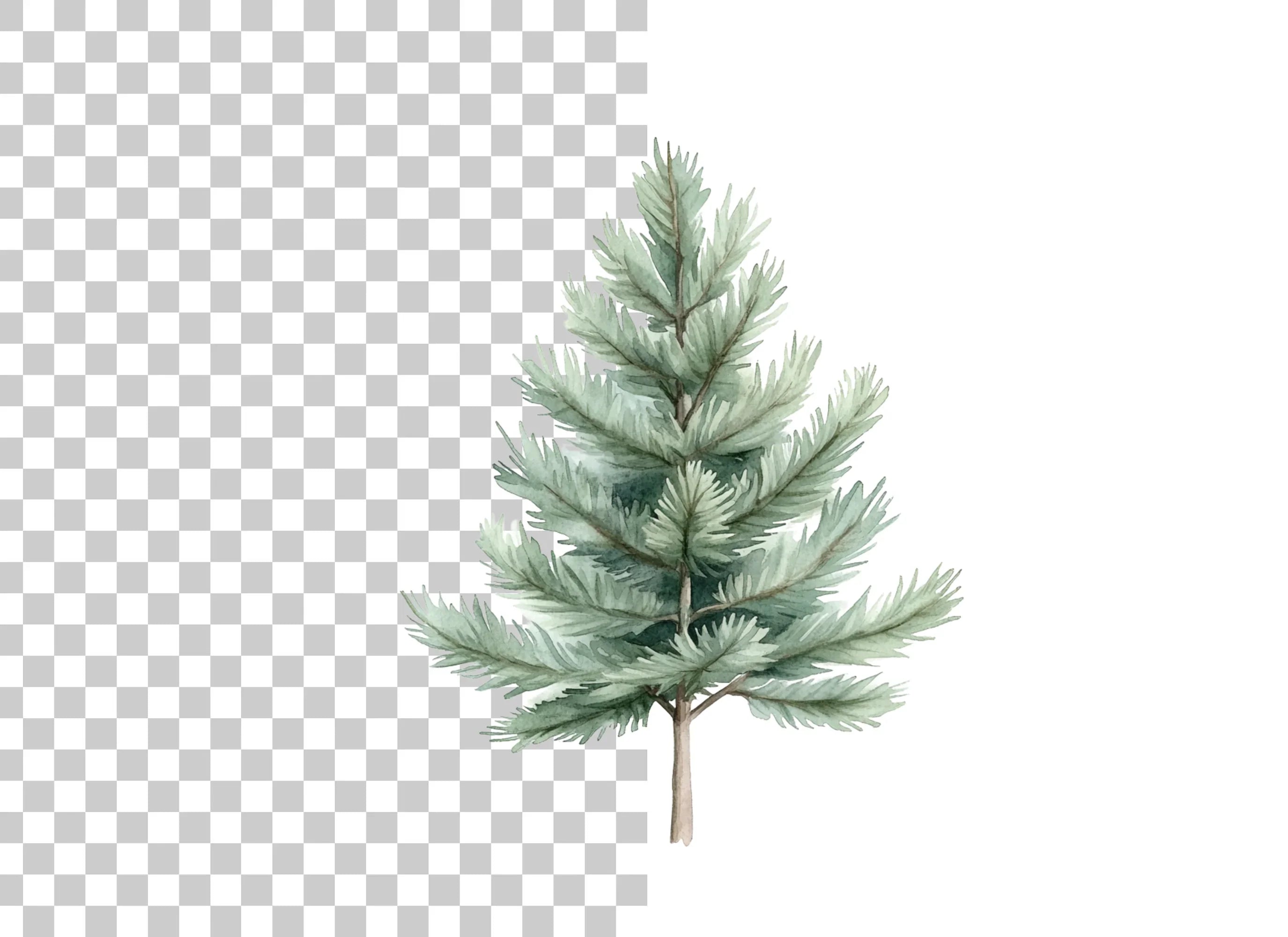Pine Tree Clipart Bundle