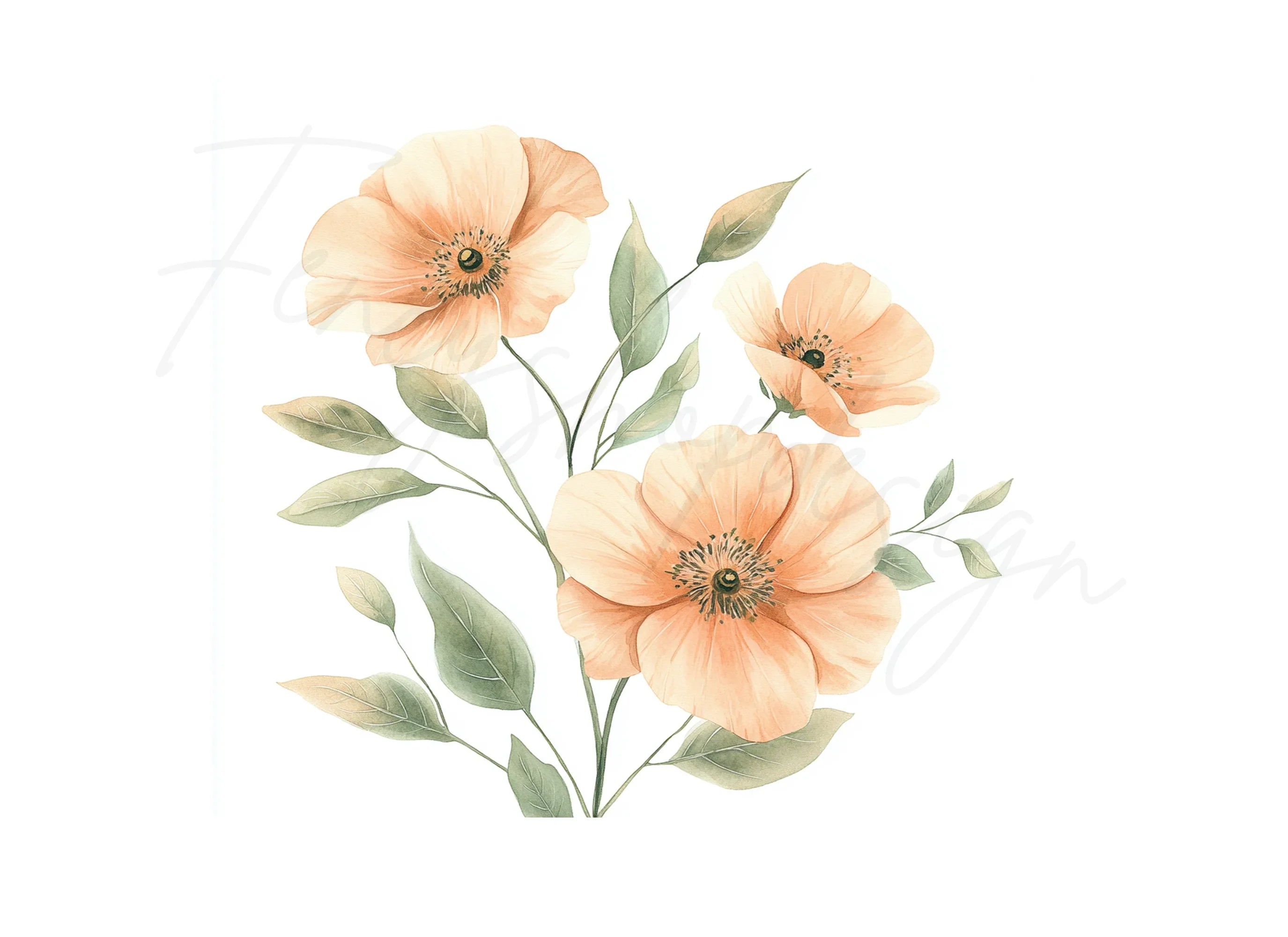 Peach Floral Clipart Bundle