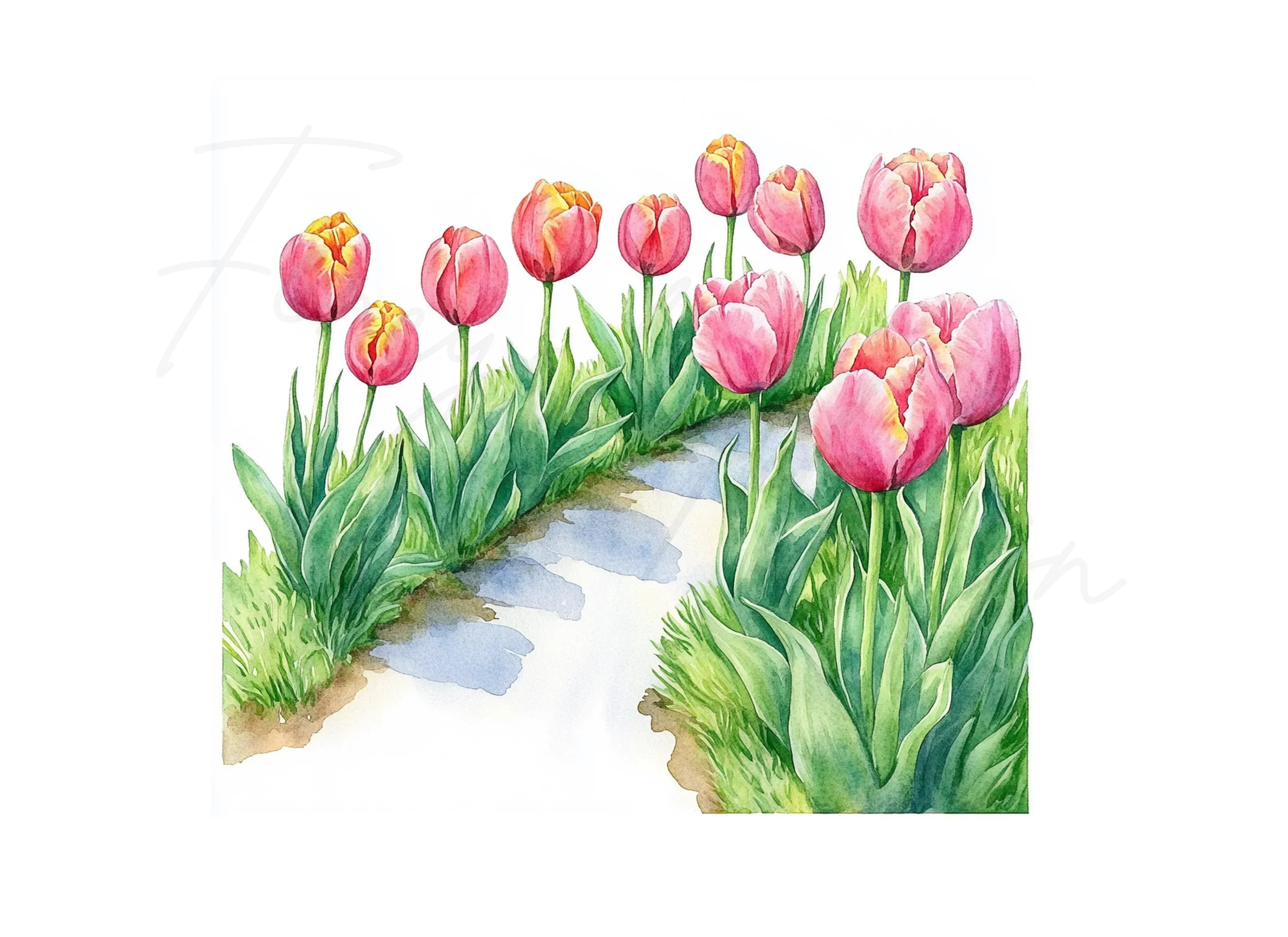 Tulip Garden Path Clipart Bundle