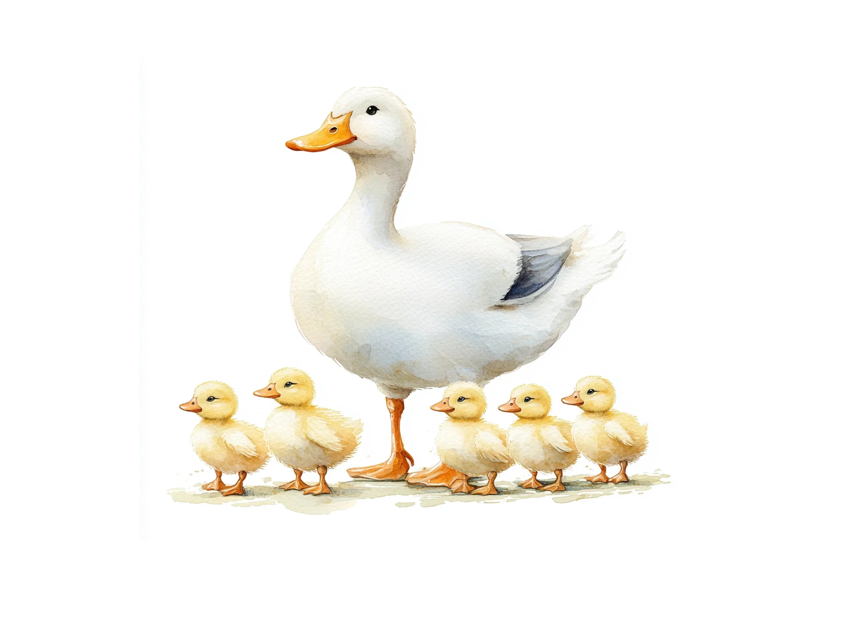 Cute Duck Family Clipart Bundle