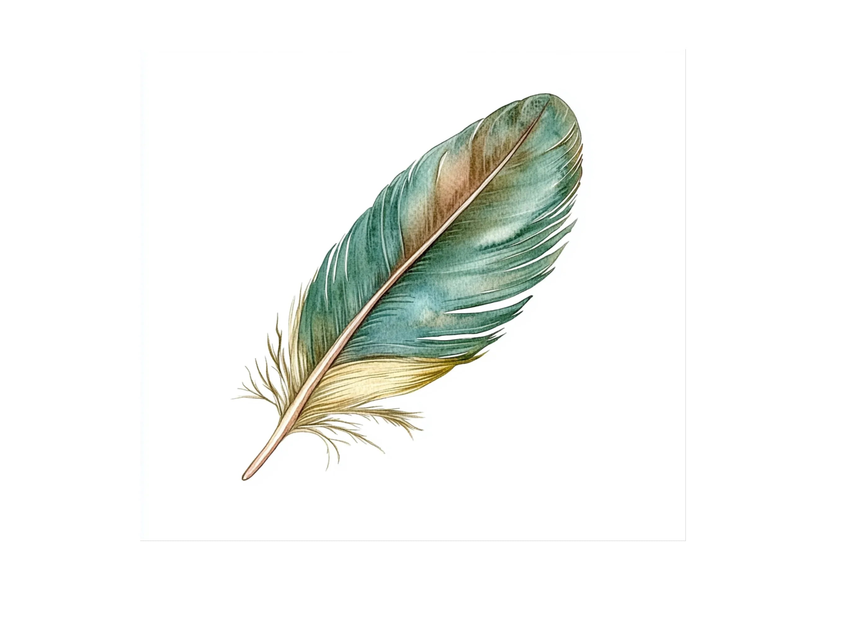 Colorful Feather Clipart Bundle