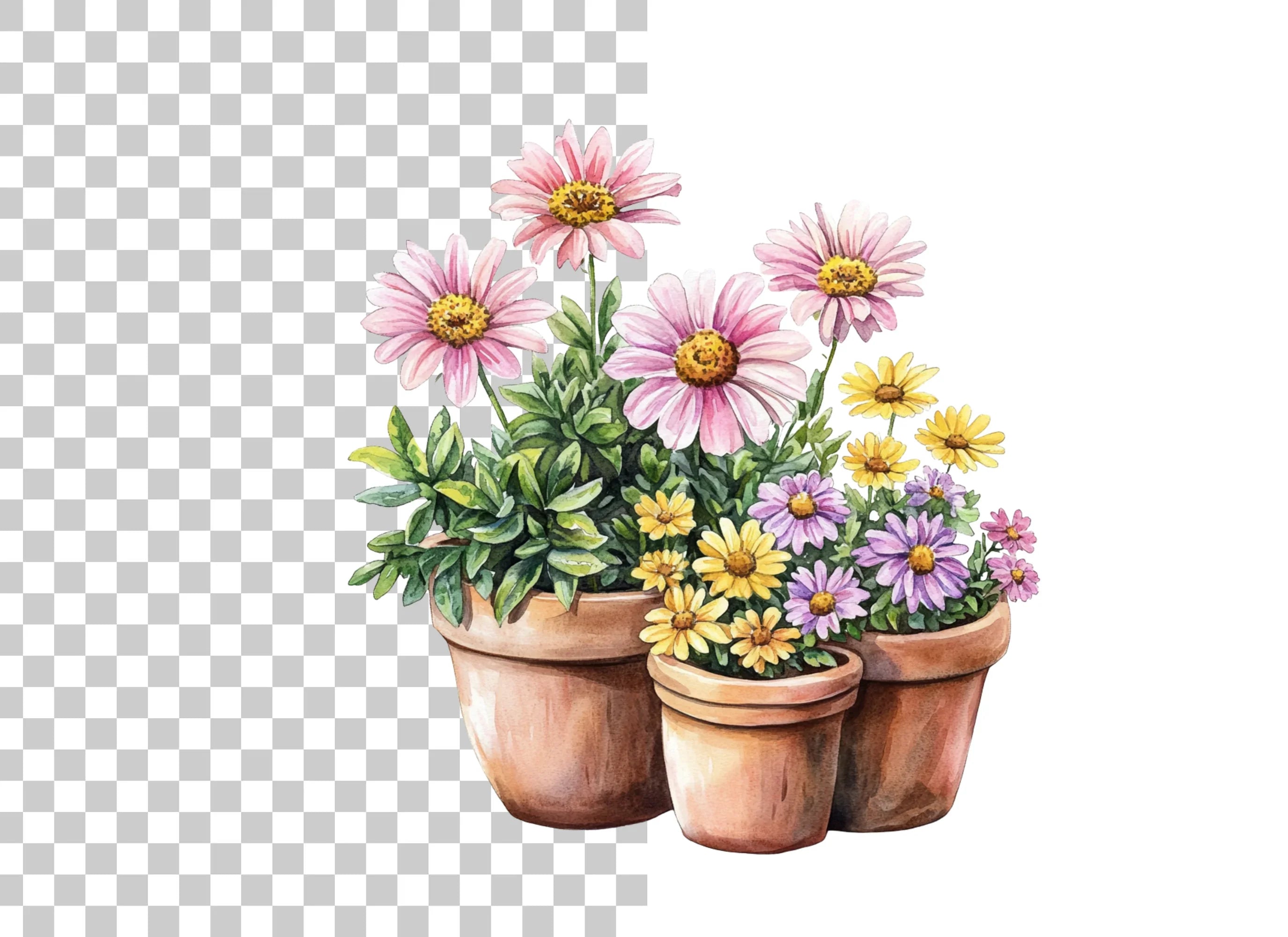 Potted Flowers Clipart Bundle