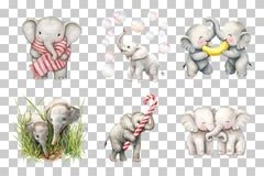 Cute Elephant Clipart Bundle - CraftNest - Digital Crafting and Art