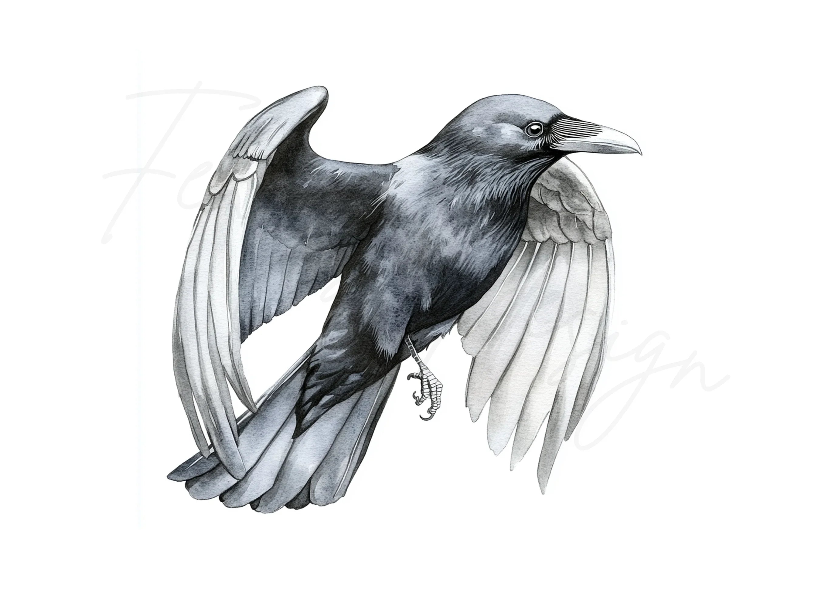 Crows with Open Wings Clipart Bundle