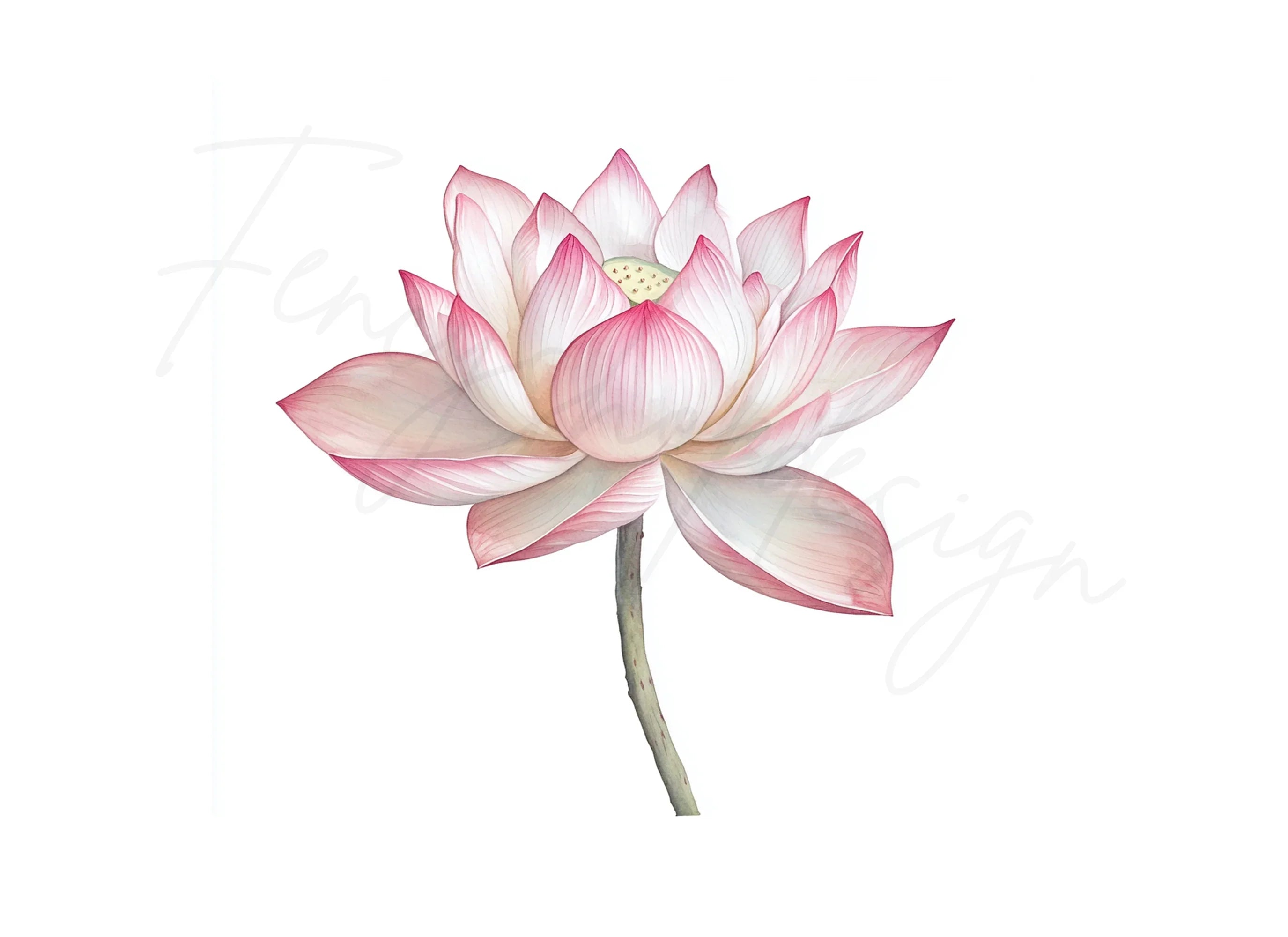Elegant Pink Lotus Flower Clipart Bundle