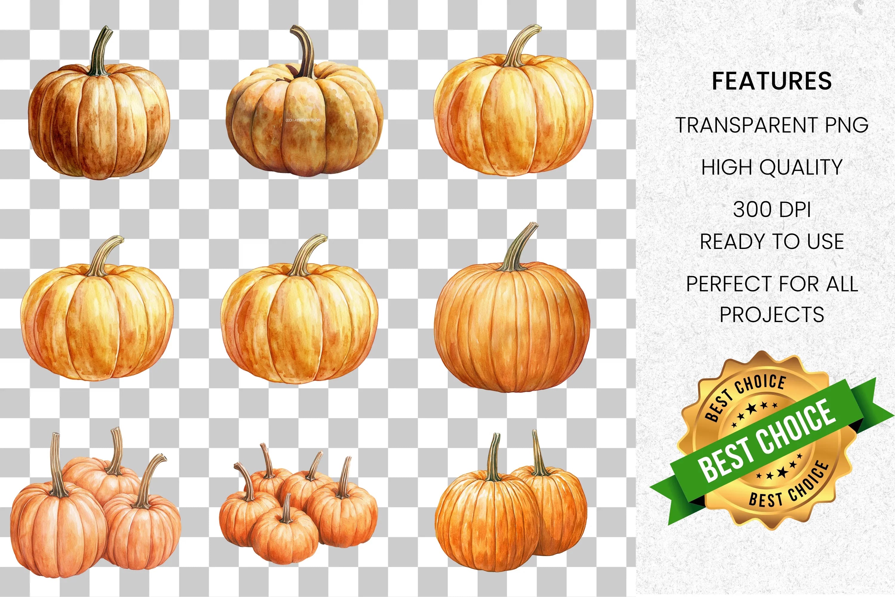 Pumpkin Clipart Bundle