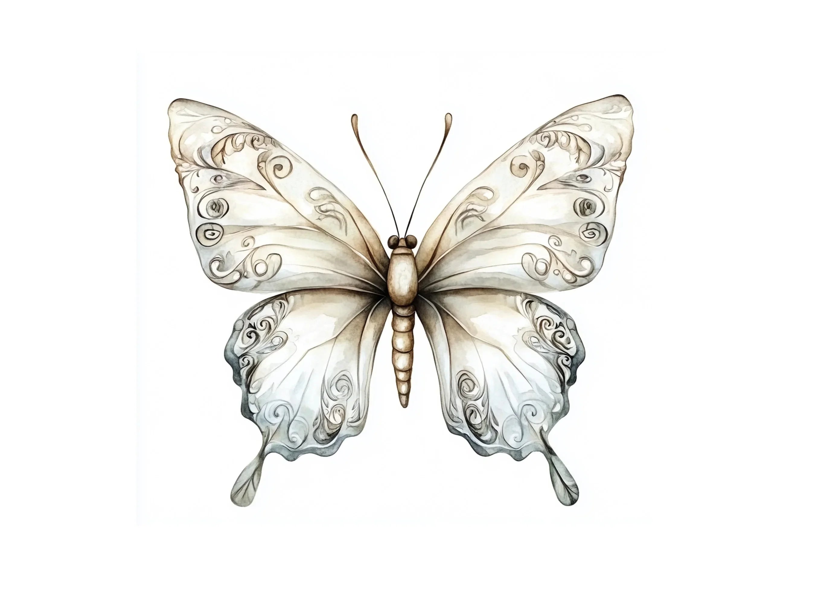 Butterfly Clipart Bundle