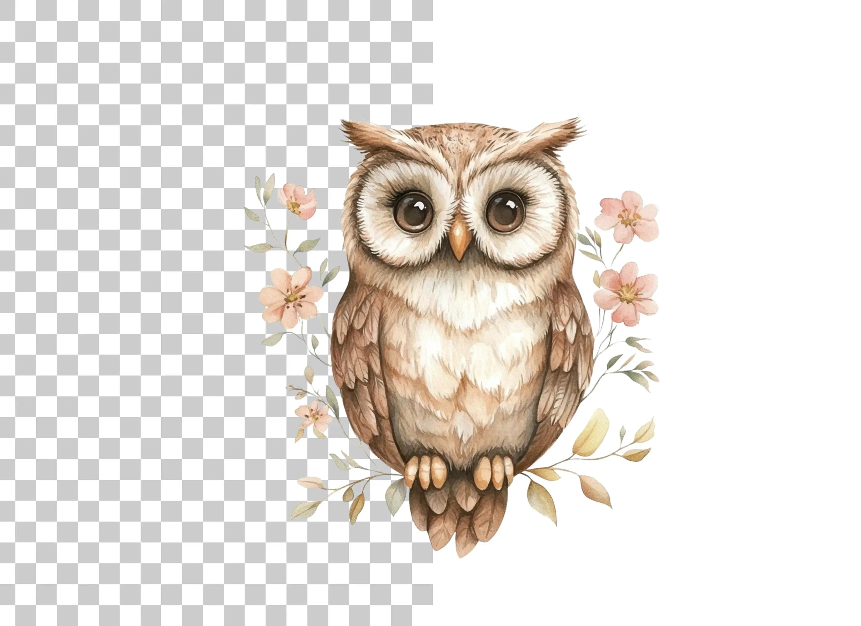 Cute Owl with Floral Accents Clipart Bundle