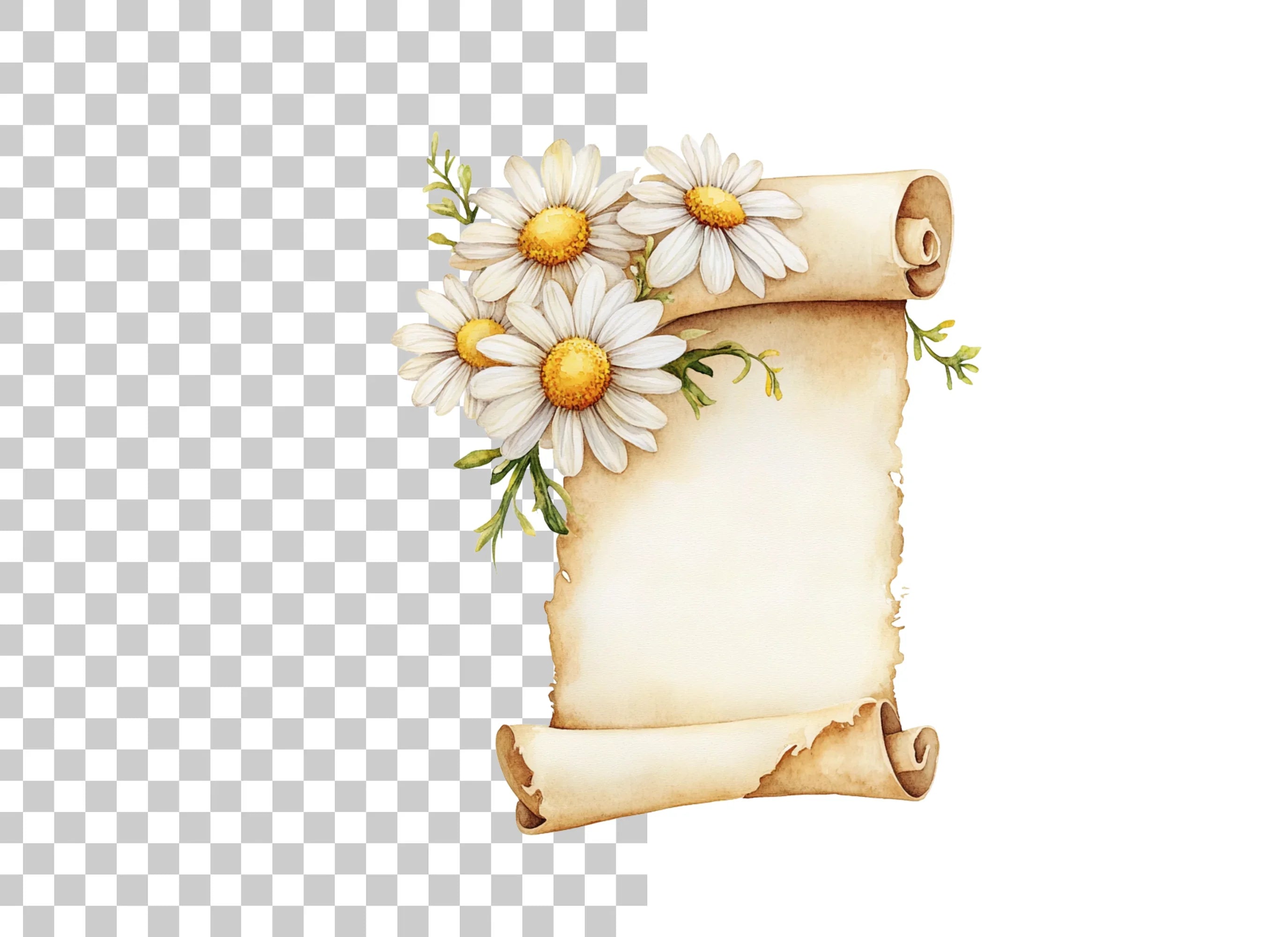 Daisy Scroll Frame Clipart Bundle