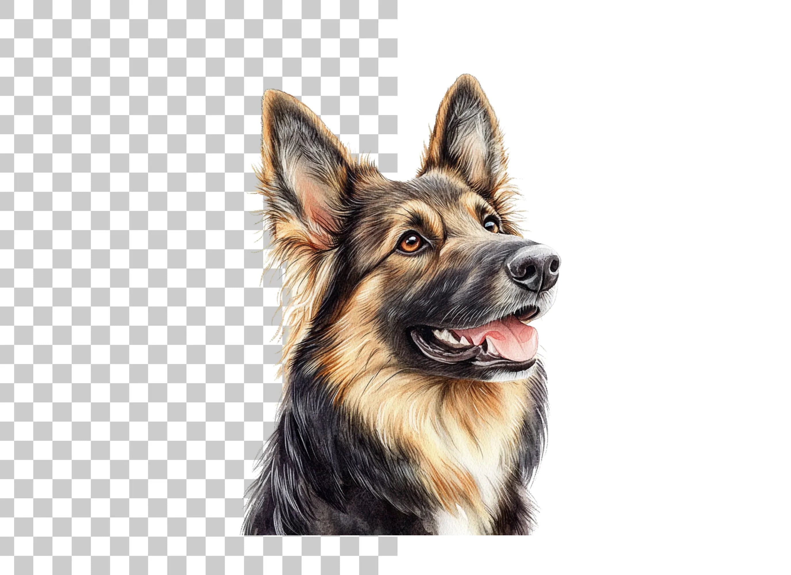 Border Collie German Shepherd Clipart Bundle