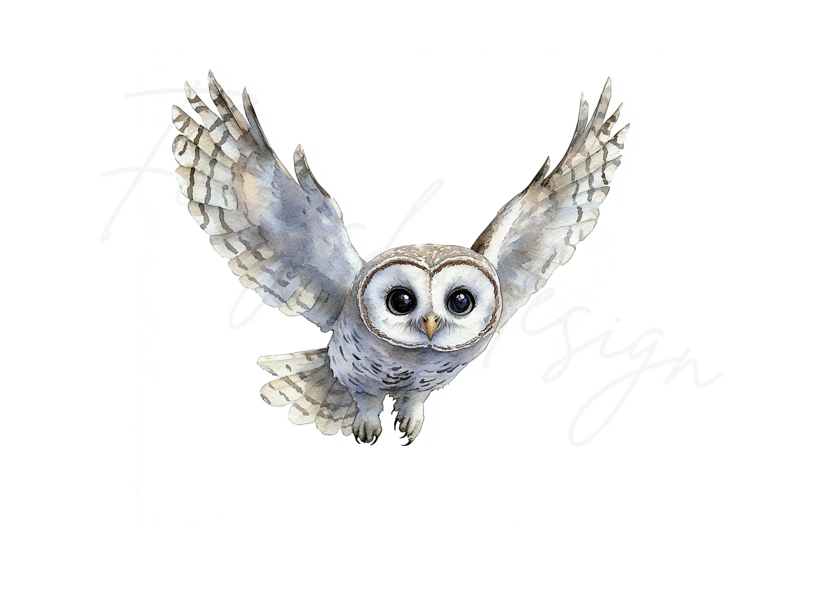 Cute Flying Owl Clipart Bundle