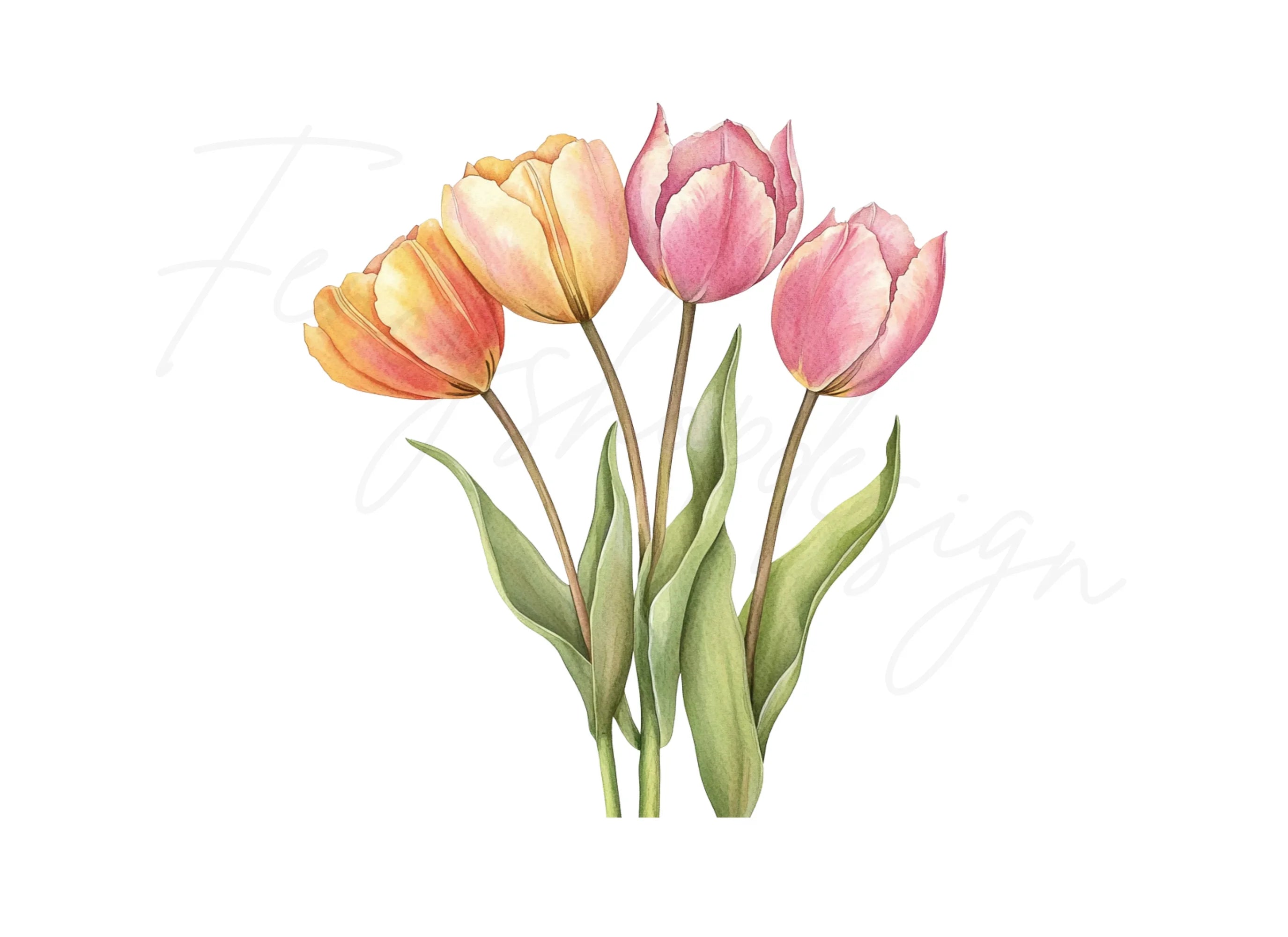 Pink Tulip Bouquets Clipart Bundle
