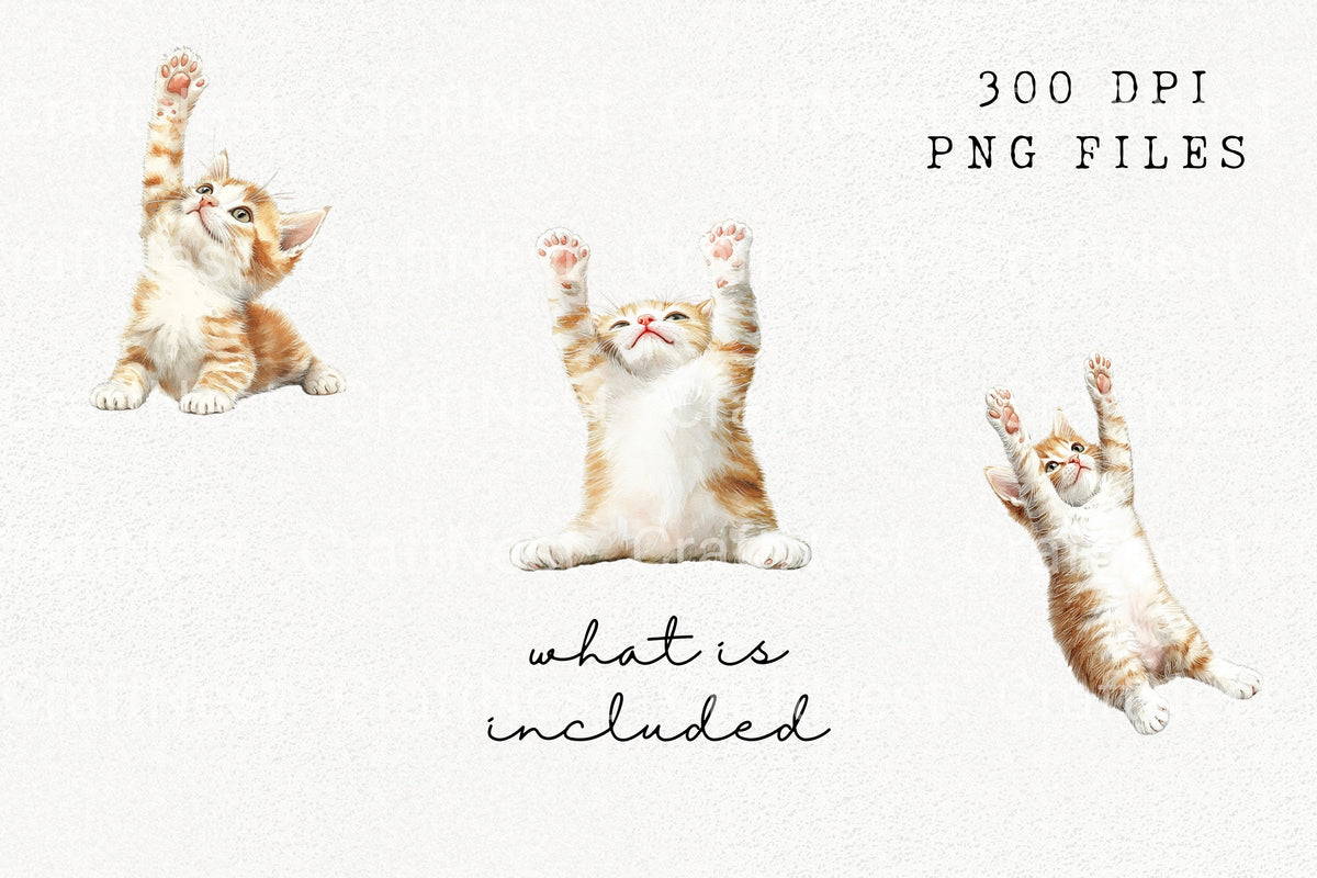 Playful Reaching Kitten Clipart Bundle