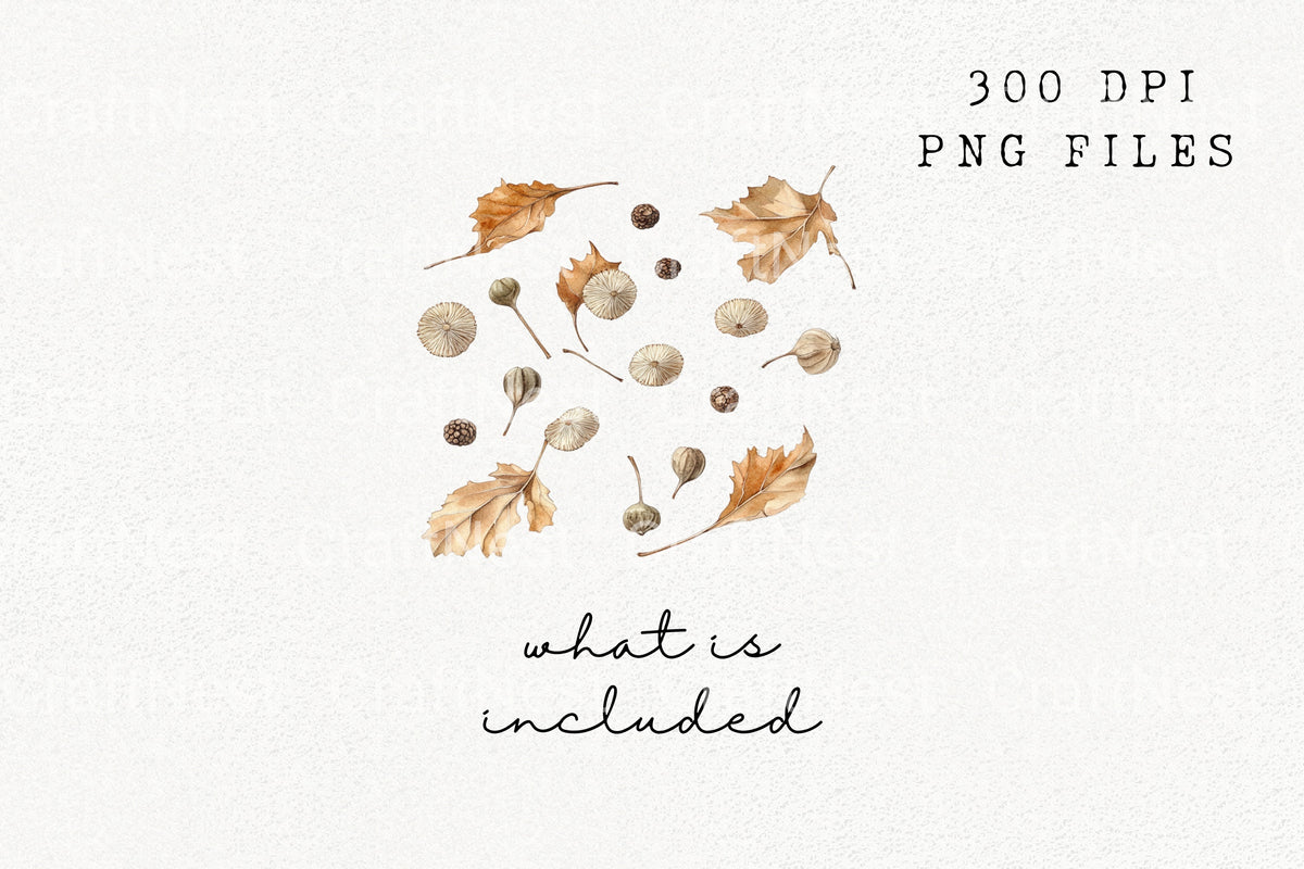 Autumn Leaves And Seeds Clipart Bundle