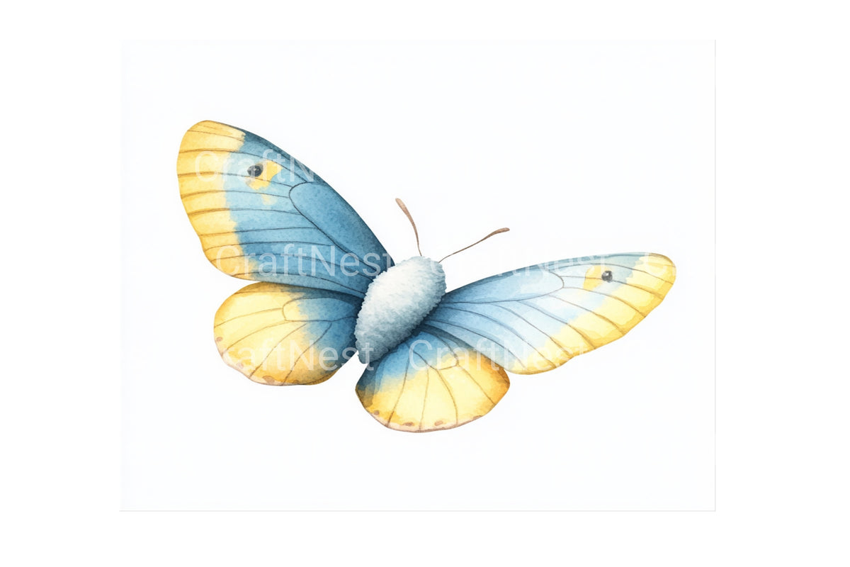 Yellow Blue Butterfly Graphics Clipart Bundle