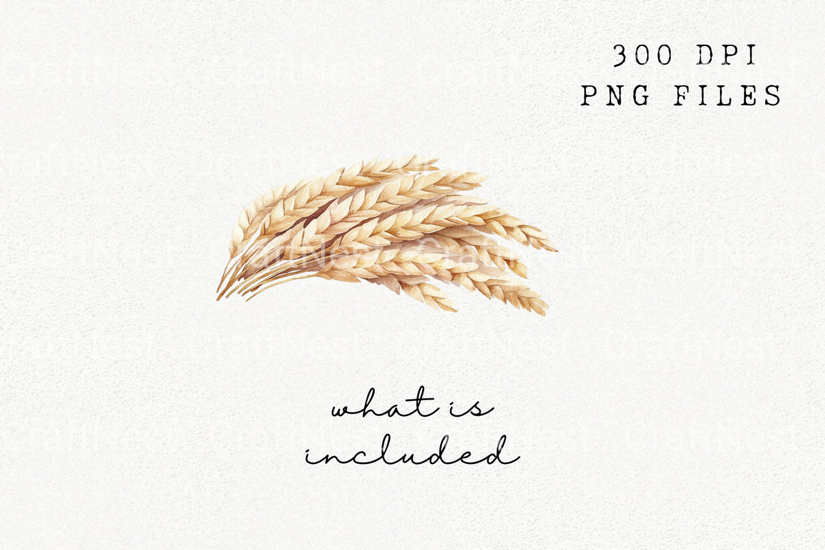 Wheat Stalks Graphics Clipart Bundle