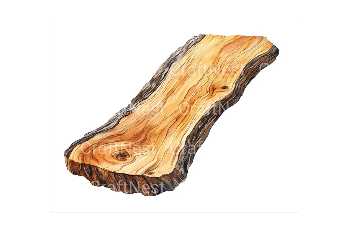 Natural Wood Plank Designs Clipart Bundle