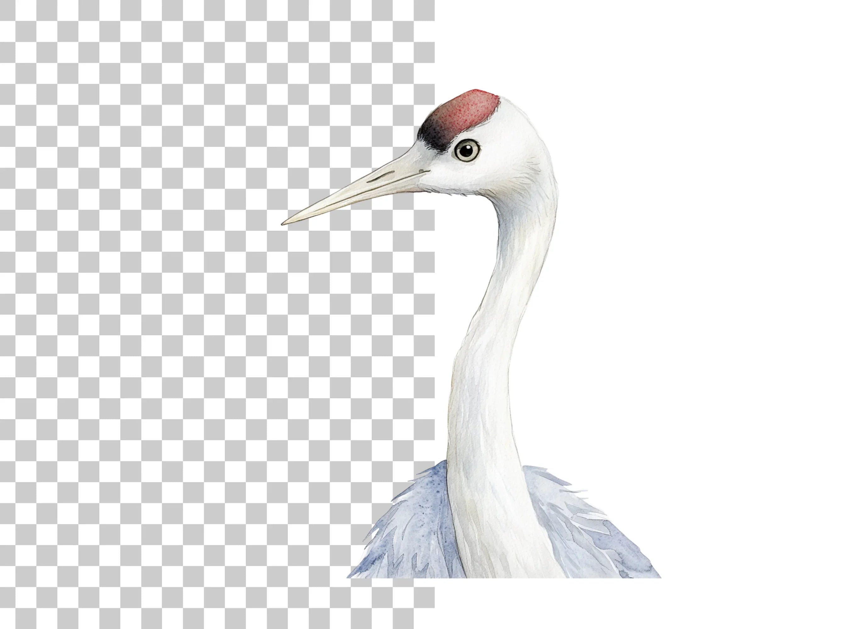 Elegant Crane Heads Clipart Bundle