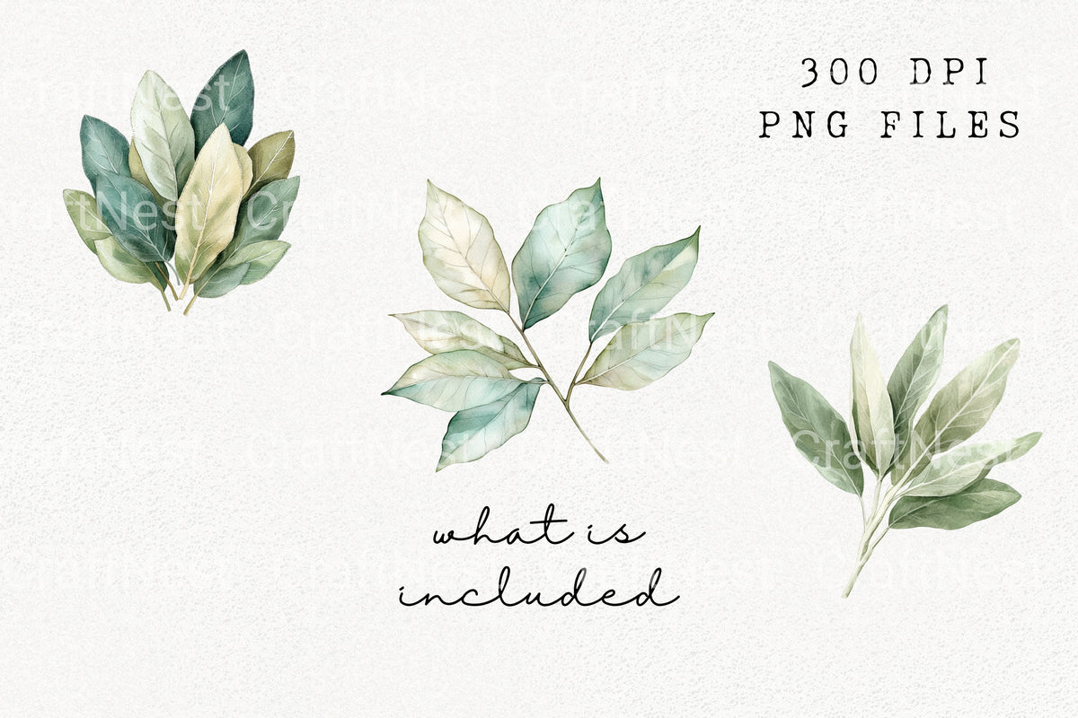 Lush Green Foliage Clipart Bundle