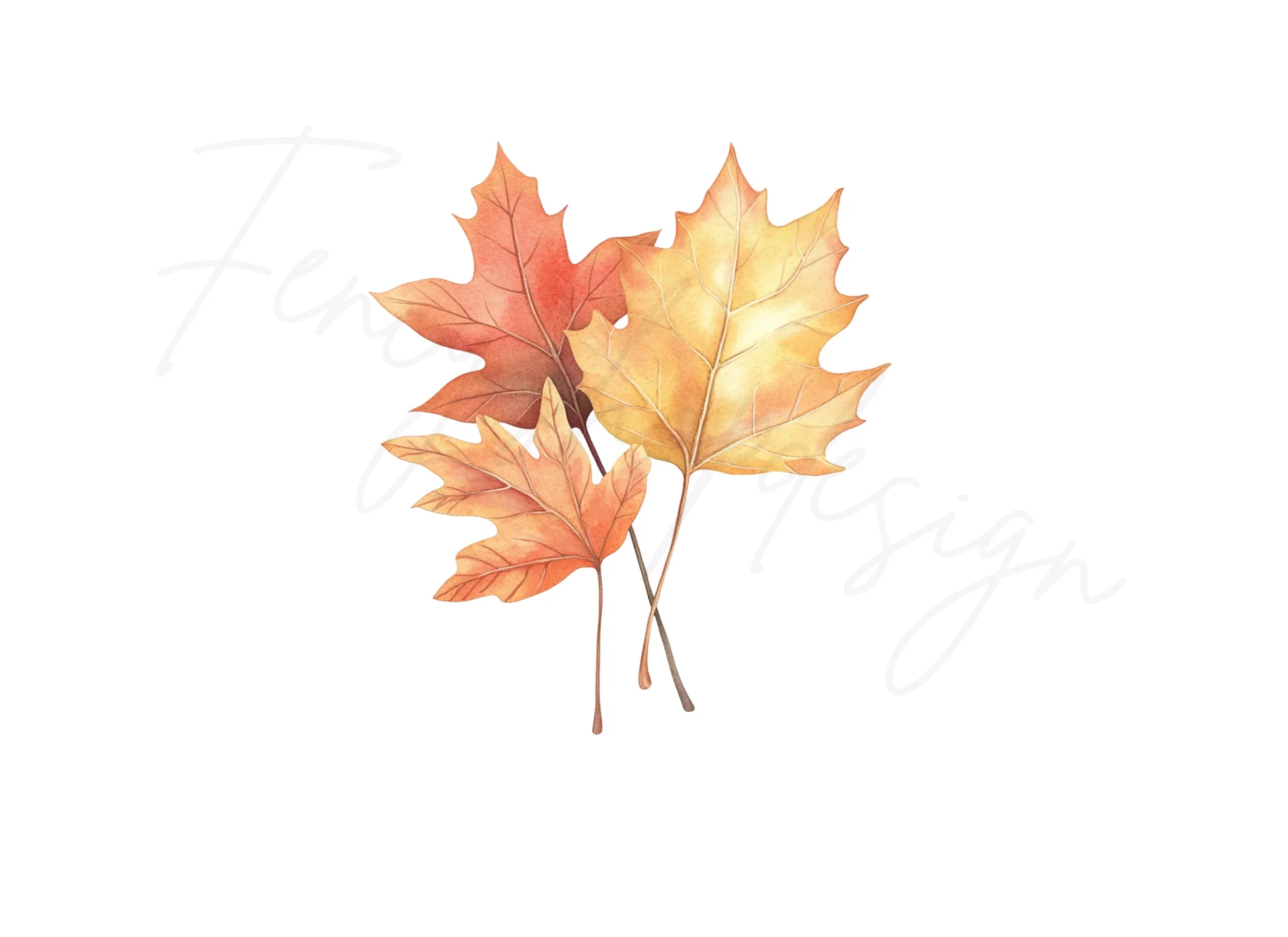 Vibrant Fall Maple Leaves Clipart Bundle