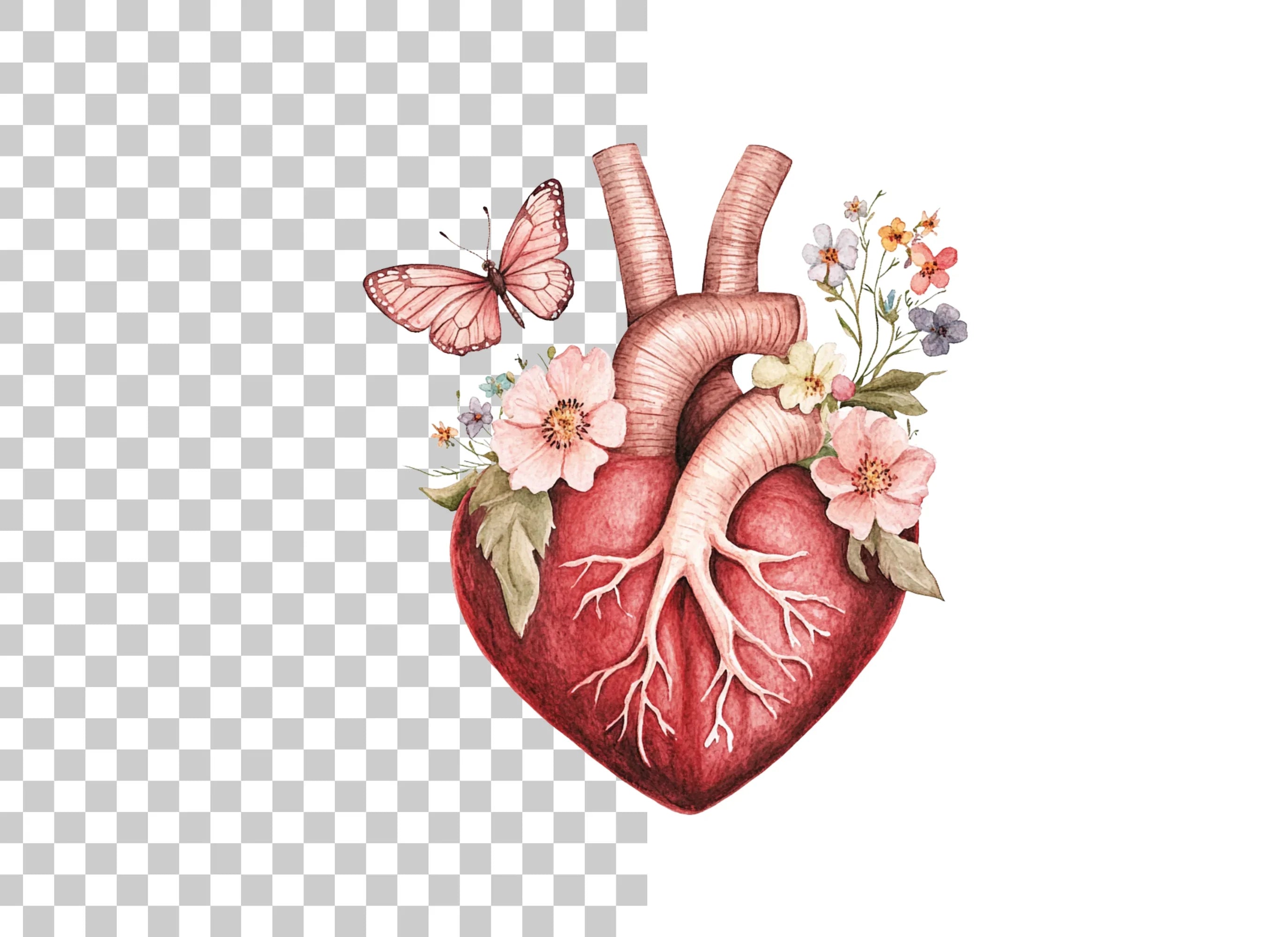 Floral Anatomical Heart Clipart Bundle