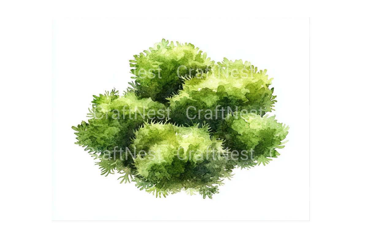 Lush Green Moss Tufts Artwork Clipart Bundle