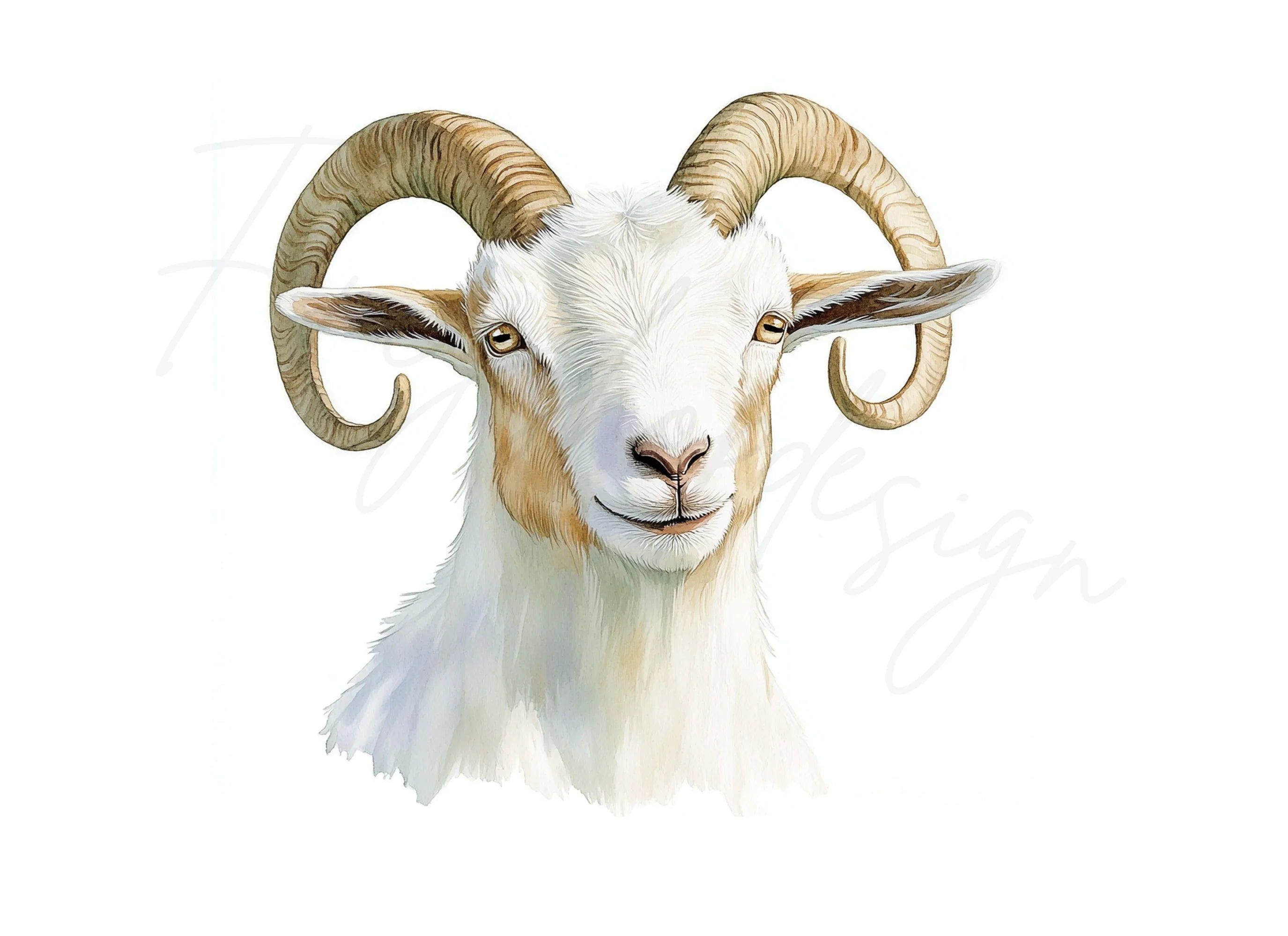 Majestic Ram Head Clipart Bundle