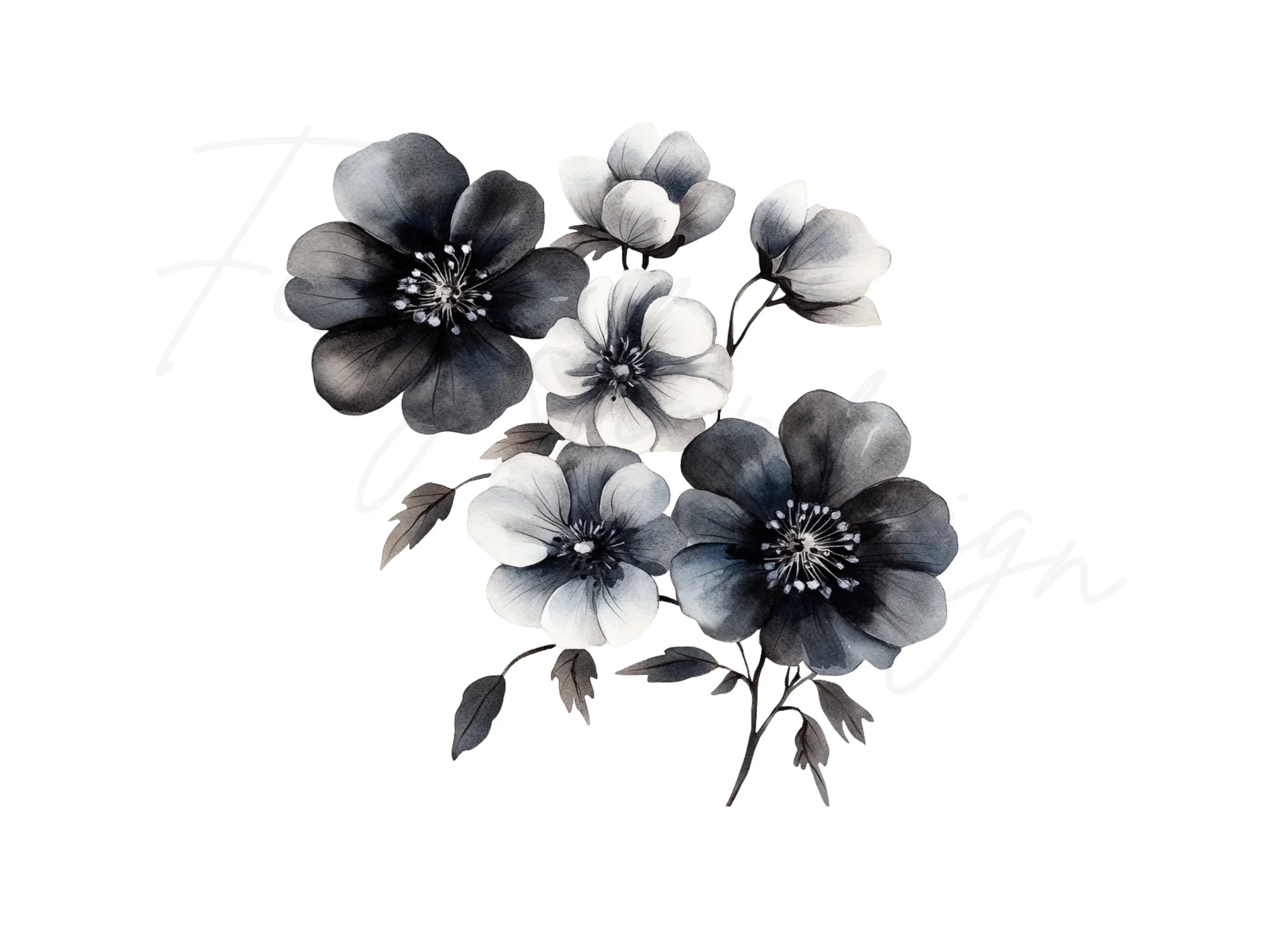 Monochrome Floral Clipart Bundle