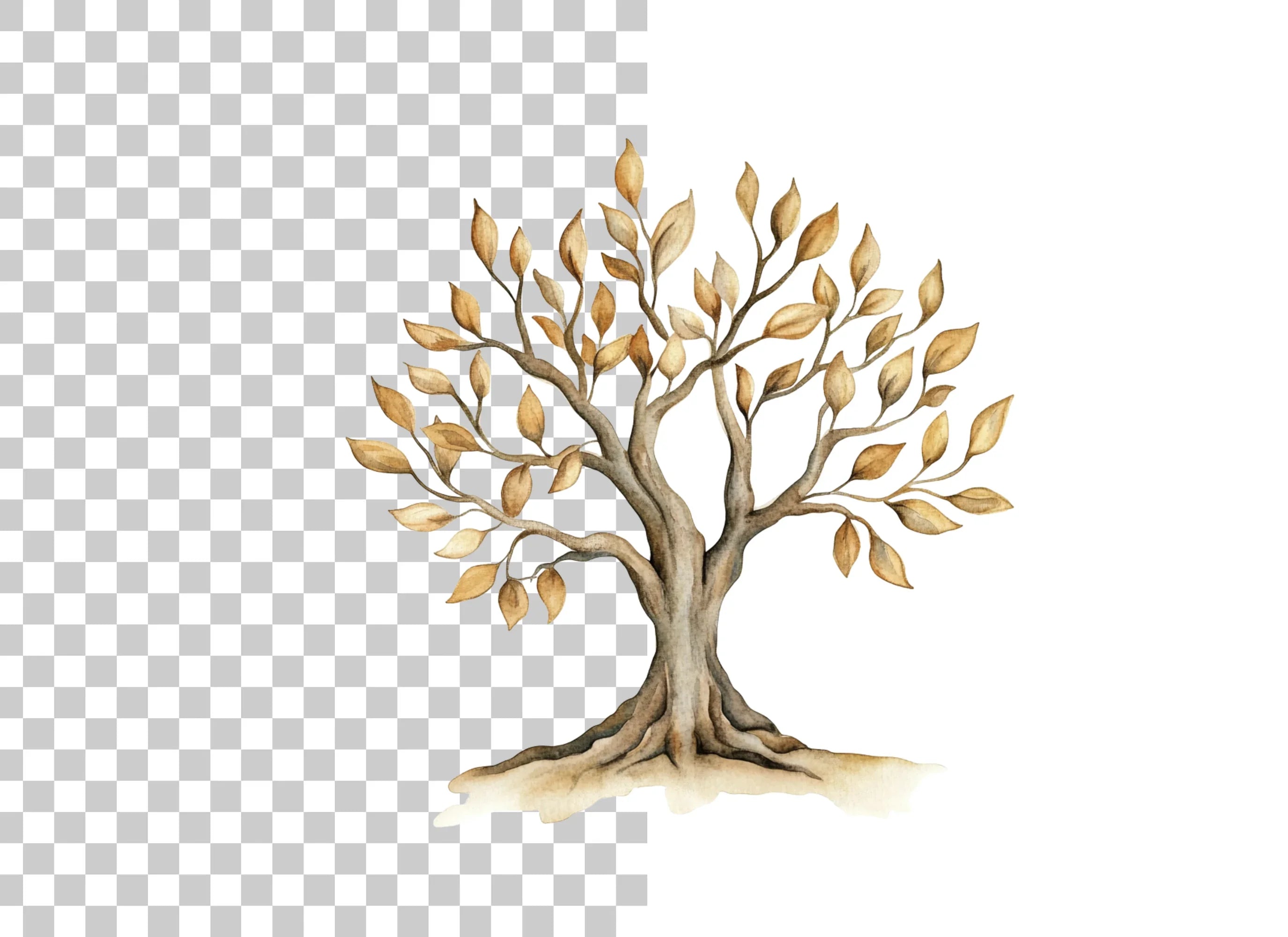 Tree of Life Clipart Bundle