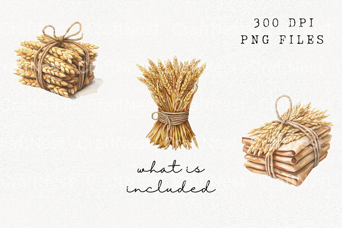 Wheat Bundles Grains Clipart Bundle