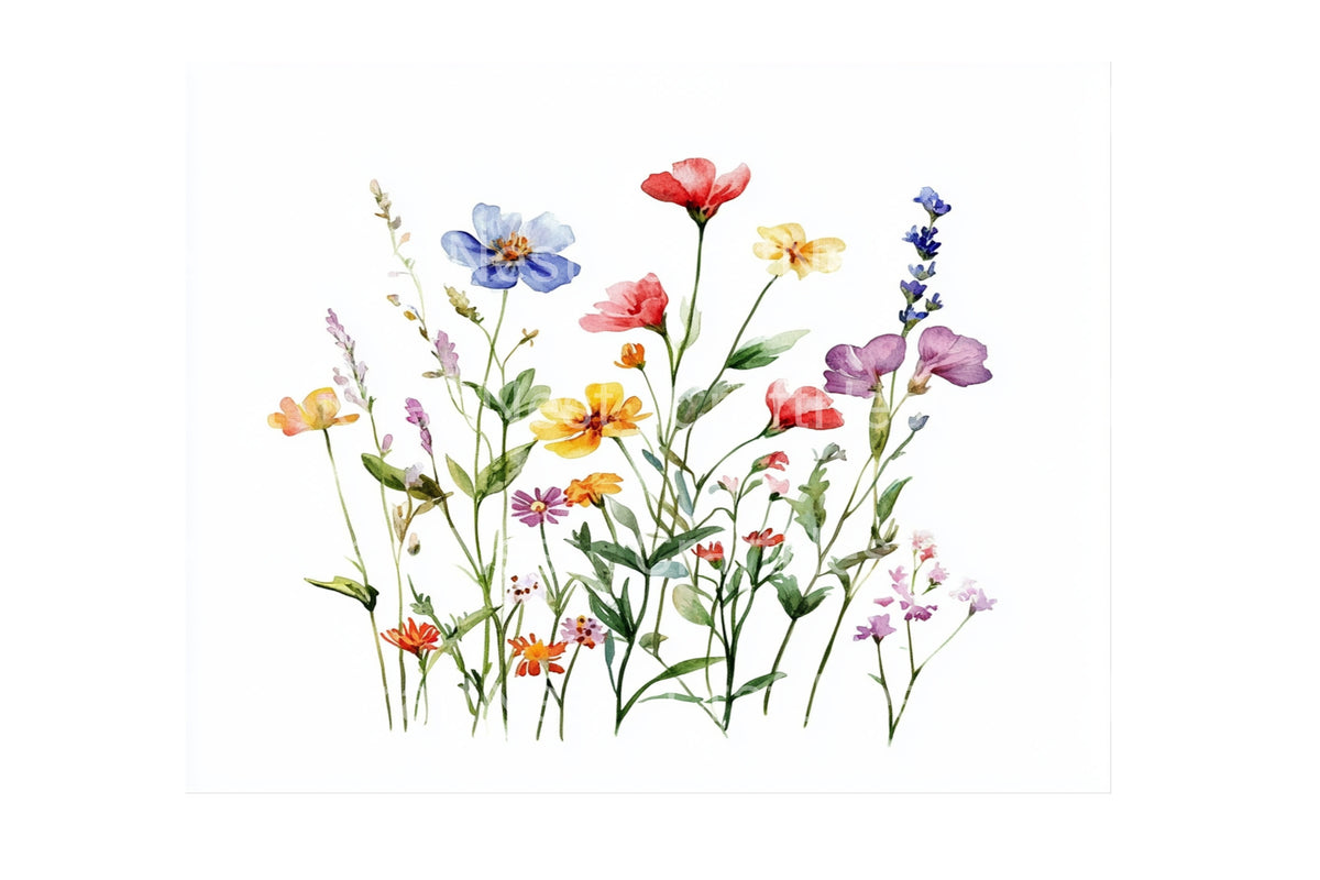 Wildflower Meadow Graphics Designs Clipart Bundle