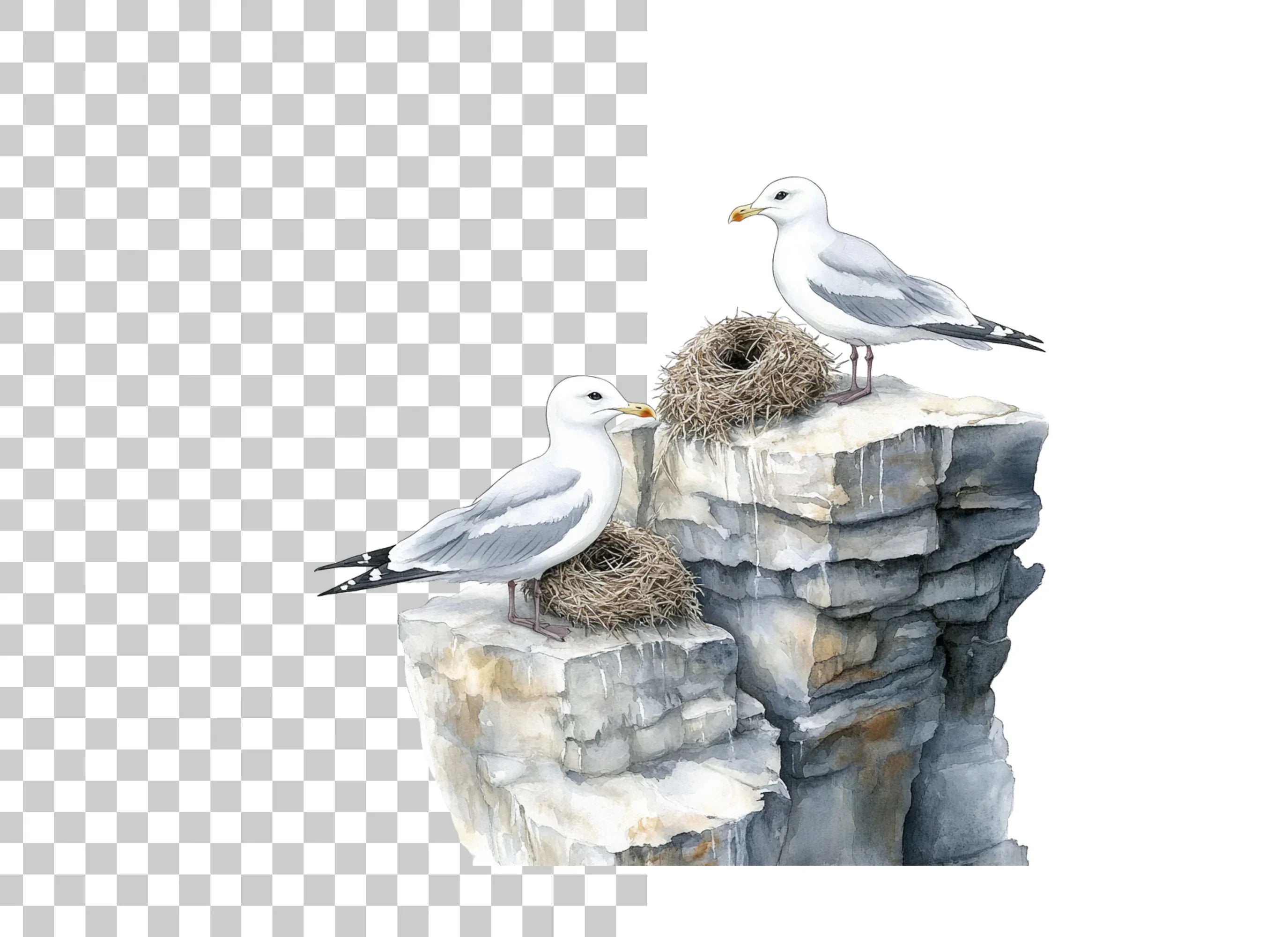 Seagulls on Rocks with Nests Clipart Bundle