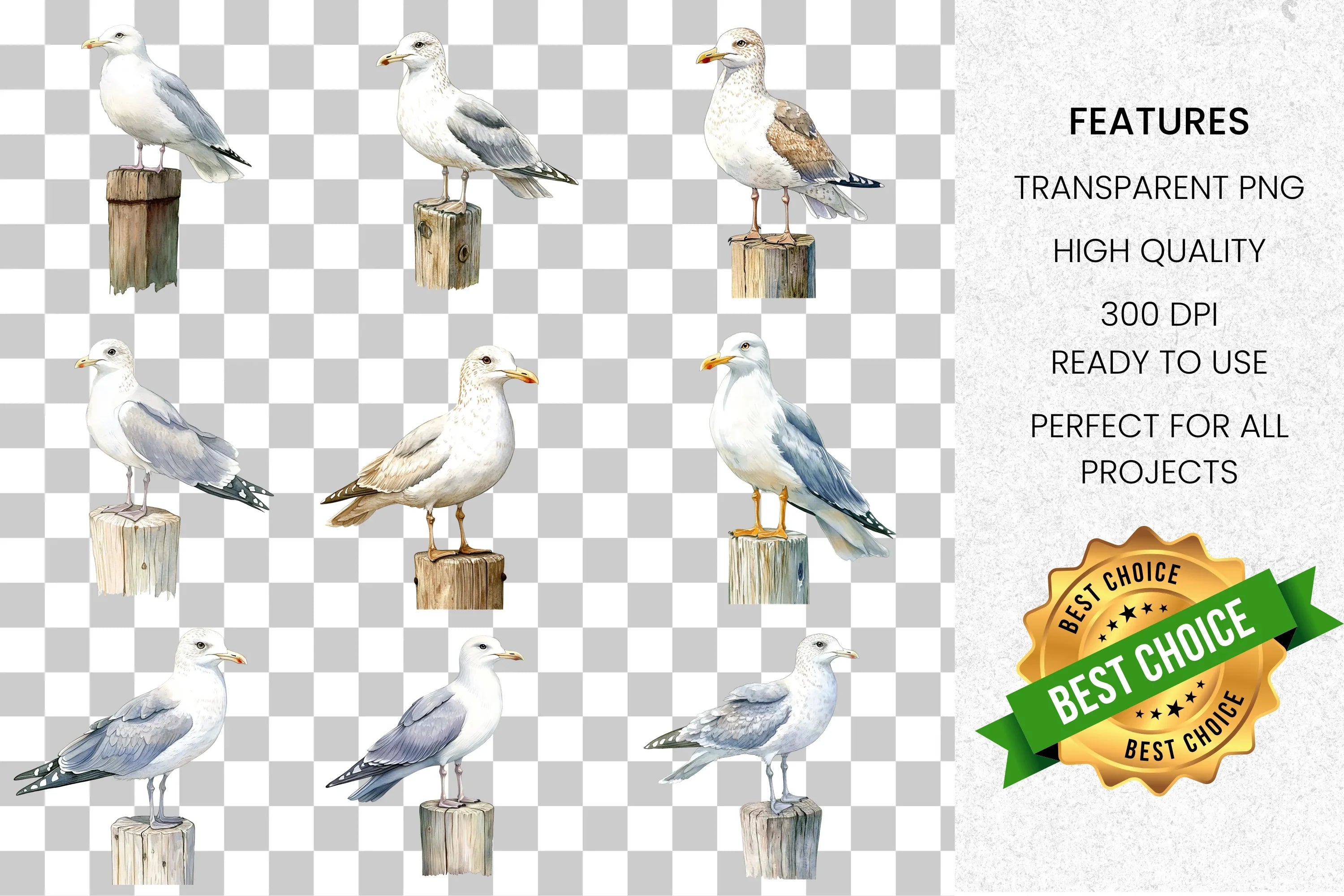 Seagull Clipart Bundle