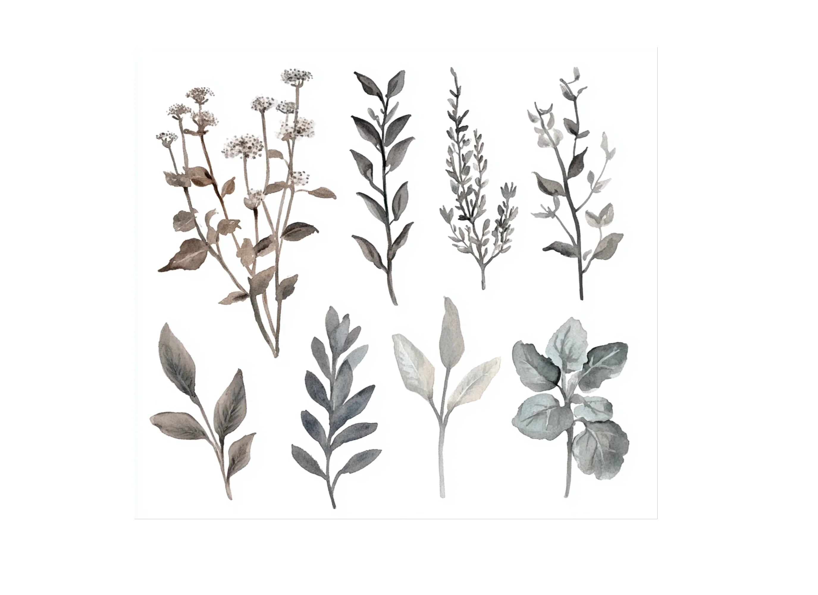 Botanical Clipart Bundle