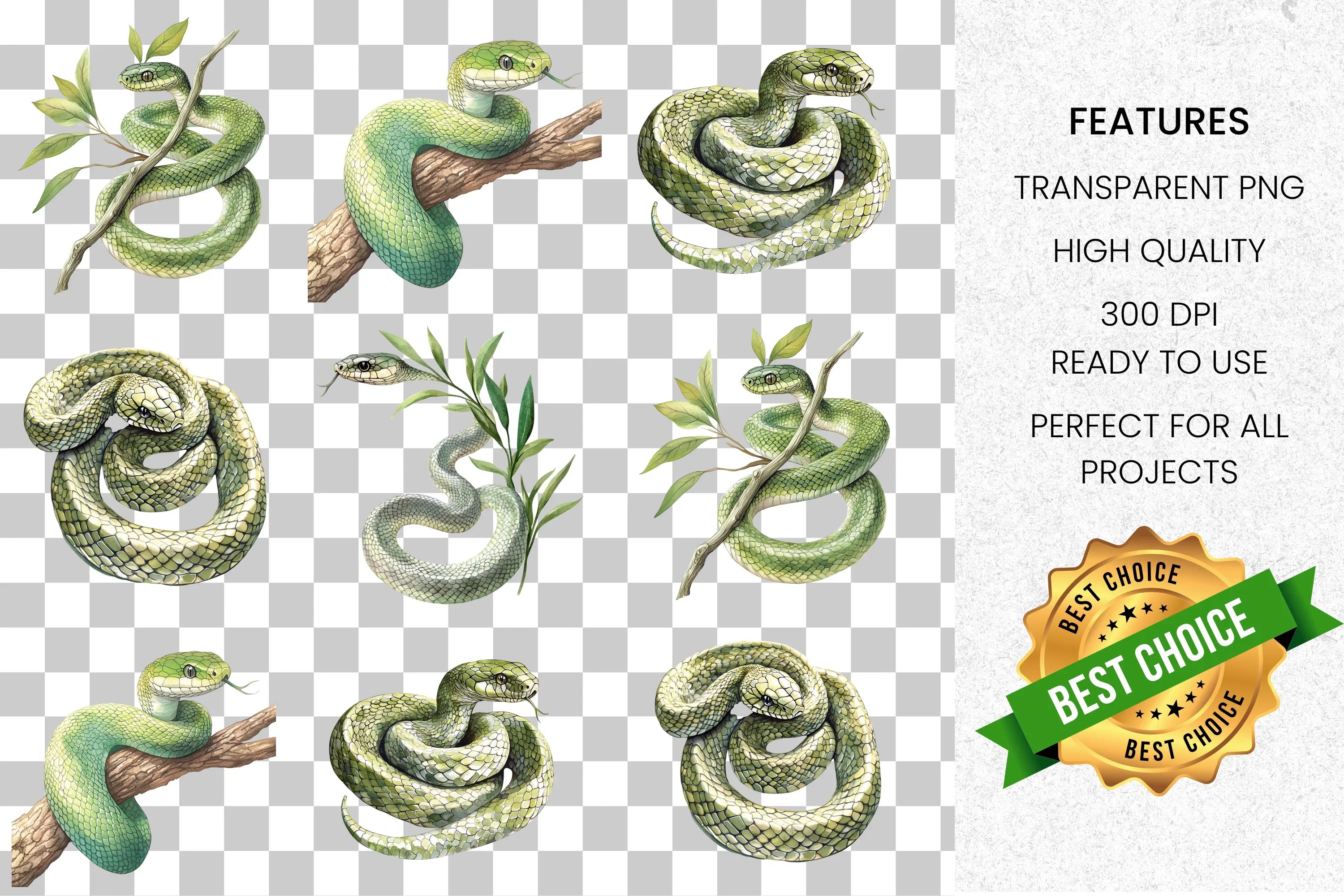 Realistic Green Snake Clipart Bundle